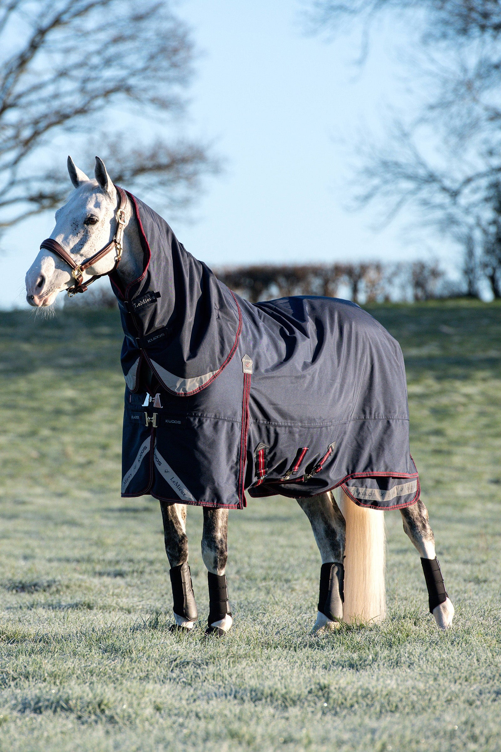 LeMieux Kudos Lightweight Turnout Rug 100g Horse Rugs
