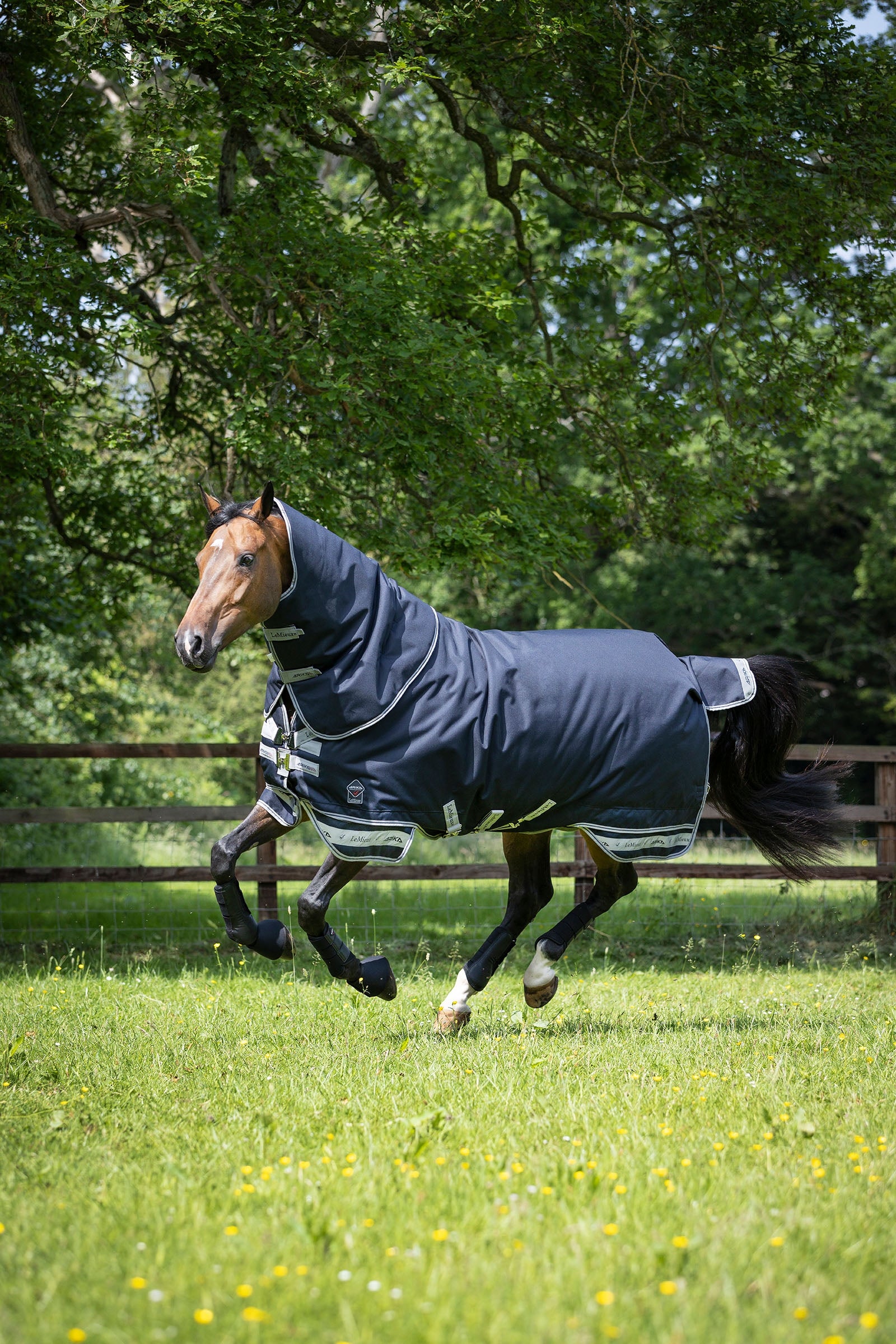 LeMieux Arika Storm-Tek 200g Hestedækken