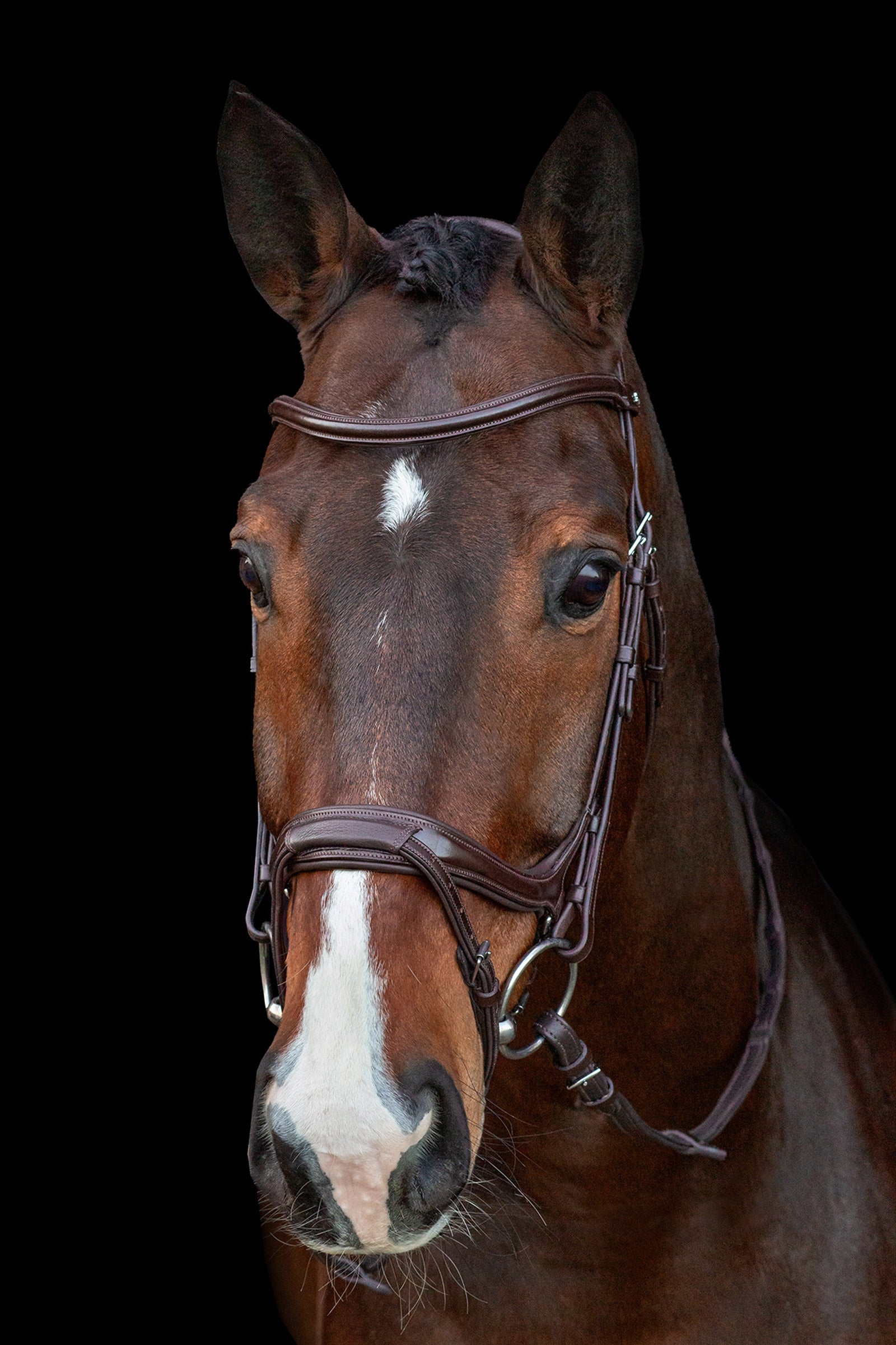 Schockemöhle Sports Ancona Select Bridle Bridles & Reins