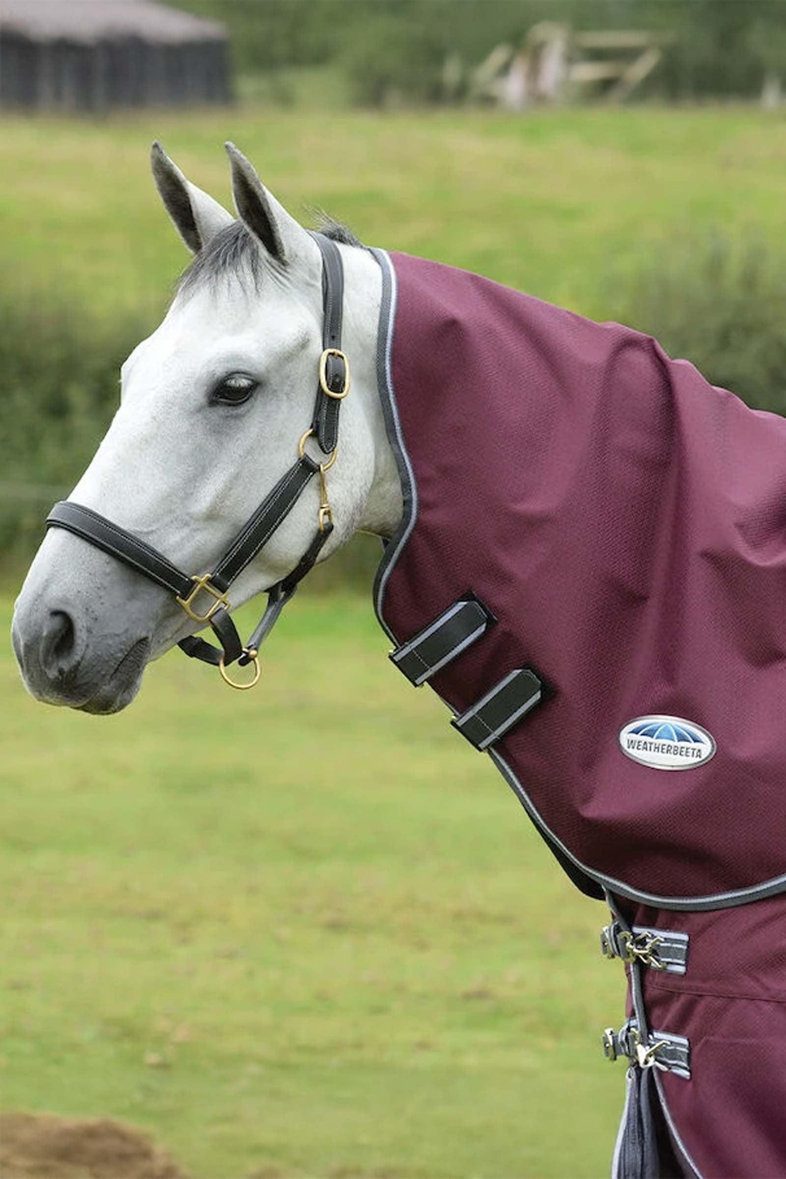 Weatherbeeta Comfitec Plus Dynamic II Neck Lite, 0g Hestedækken