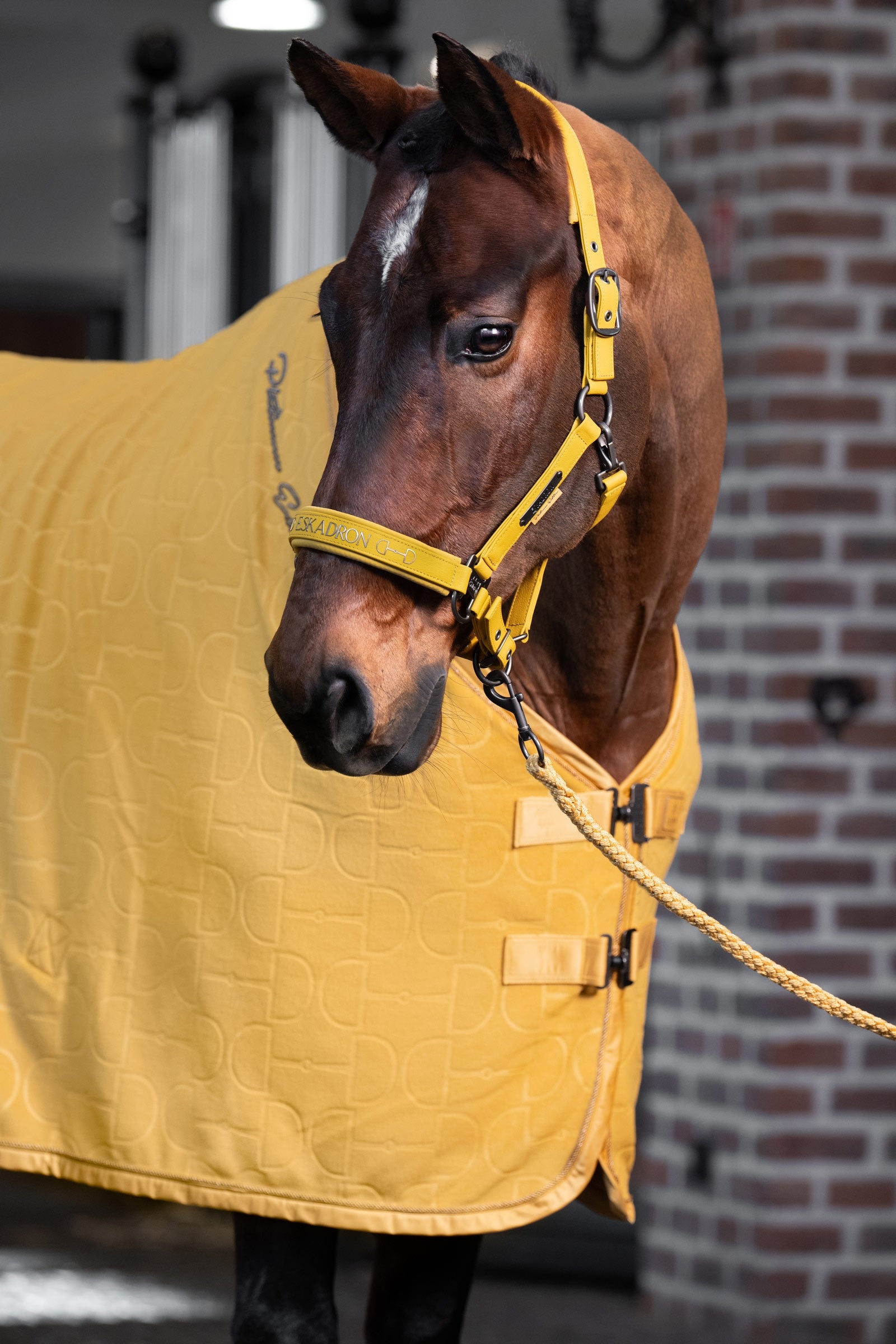 Eskadron Platinum 25 Faux Leather Double Pin Headcollar Halters & Leads