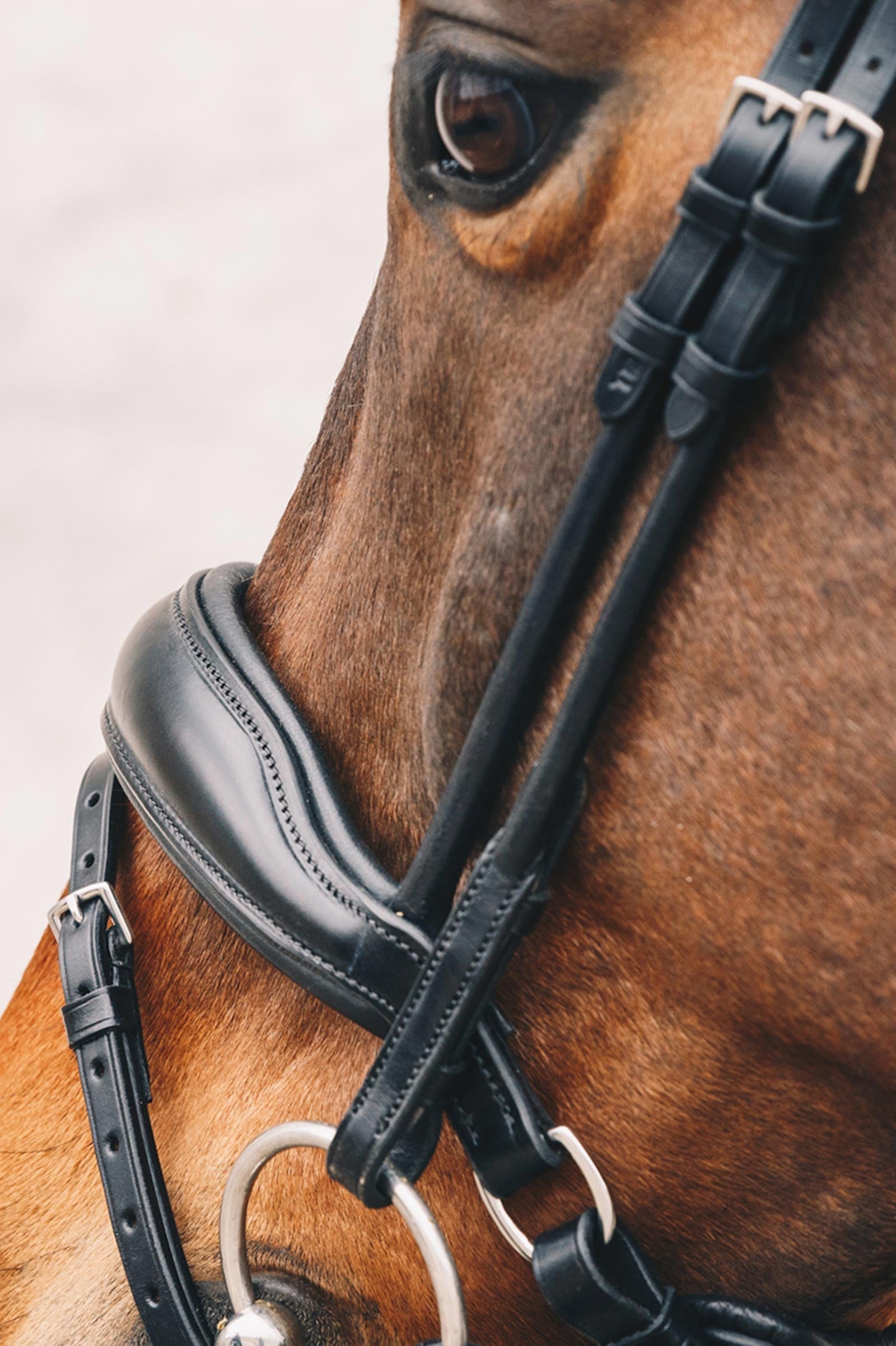 Schockemöhle Sports Malibu Anatomical Dressage Bridle Bridles & Reins