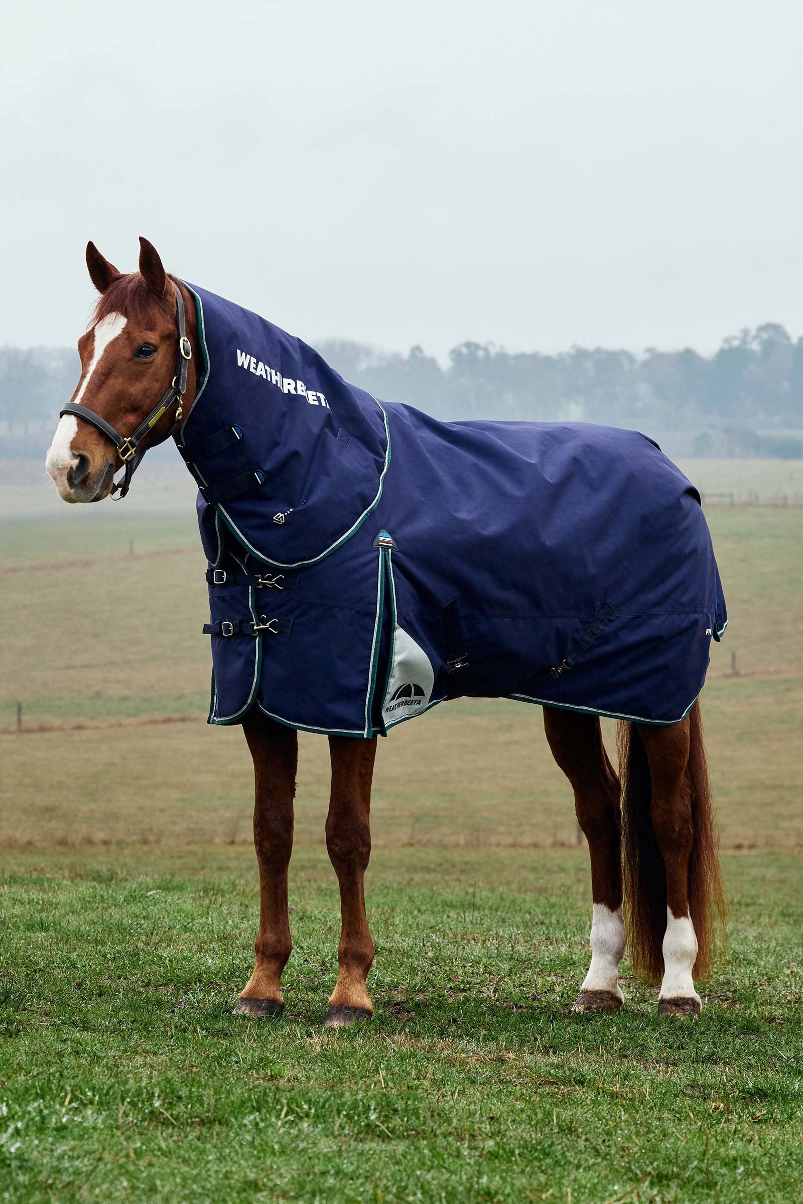 Weatherbeeta ComFiTecPlus Dynamic Turnout Detach-A-Neck 220G Hestedækken