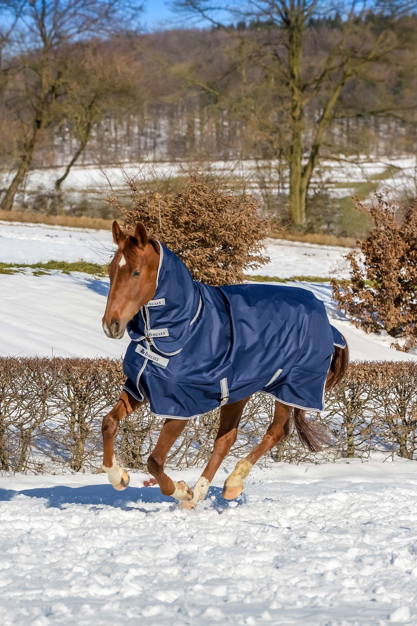Bucas Freedom Turnout Rug with fixed Full Neck (150g / 150g) Horse Rugs