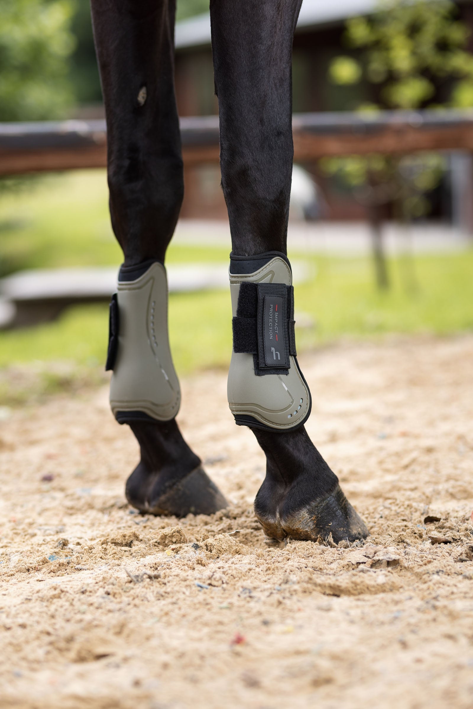 Horze Armour COOL Tendon Leg Protection & Hoof Protection for Horses
