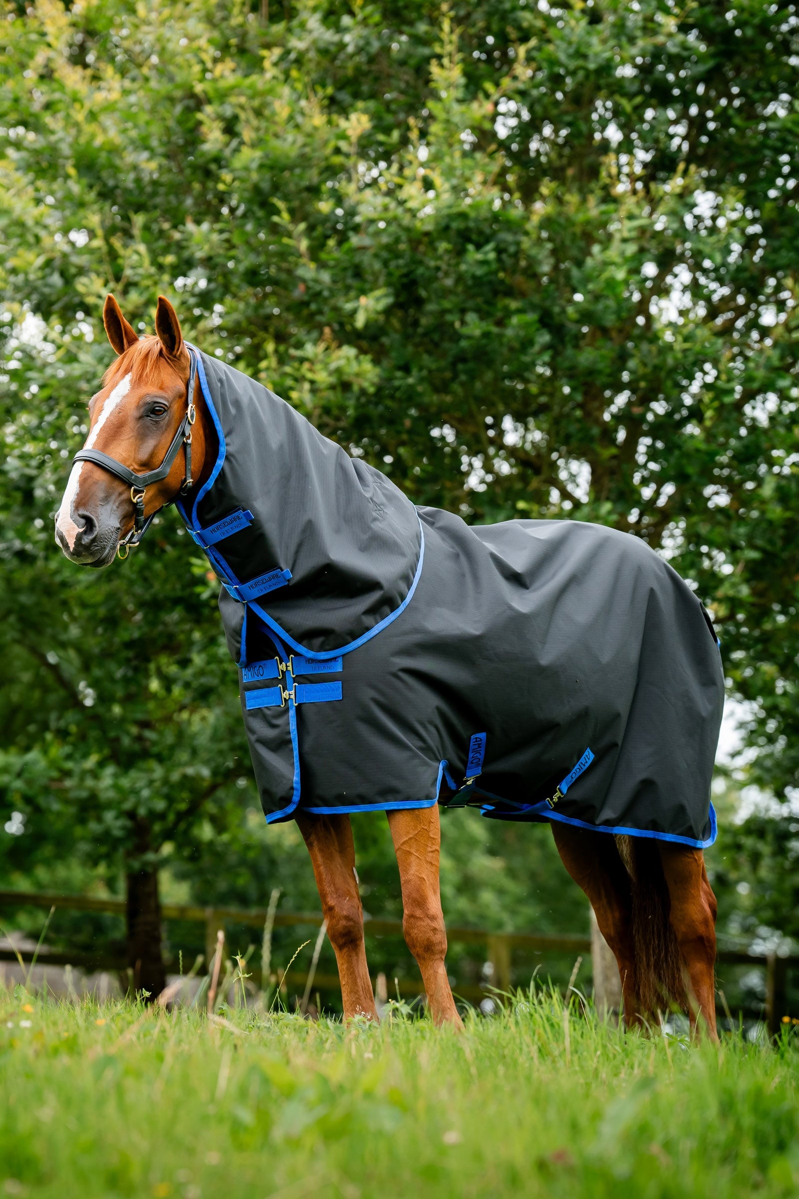 Horseware Amigo Ripstop 900D Plus udedækken, 0 g Hestedækken
