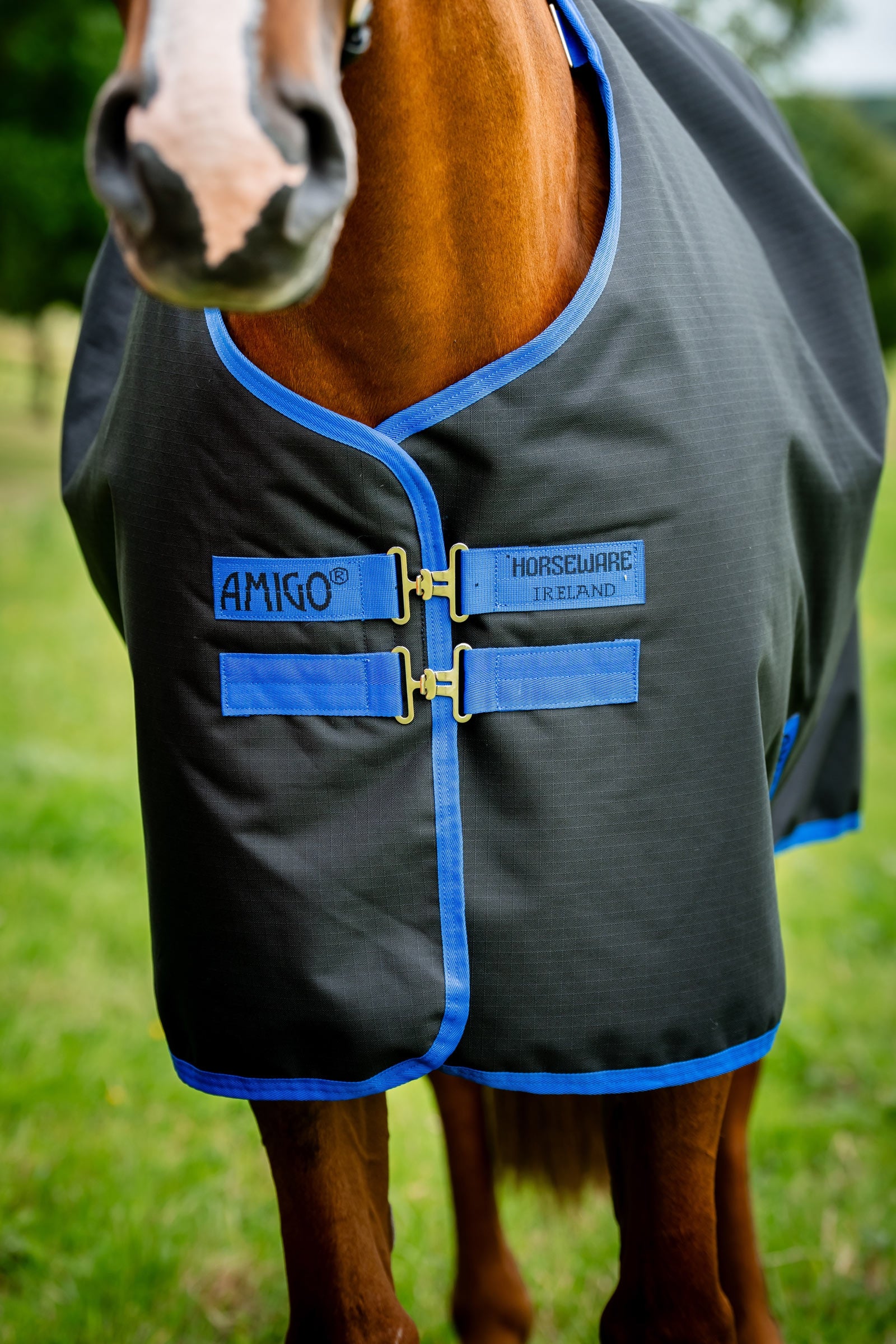 Horseware Amigo Ripstop 900D Plus Turnout Rug, 0 g Horse Rugs