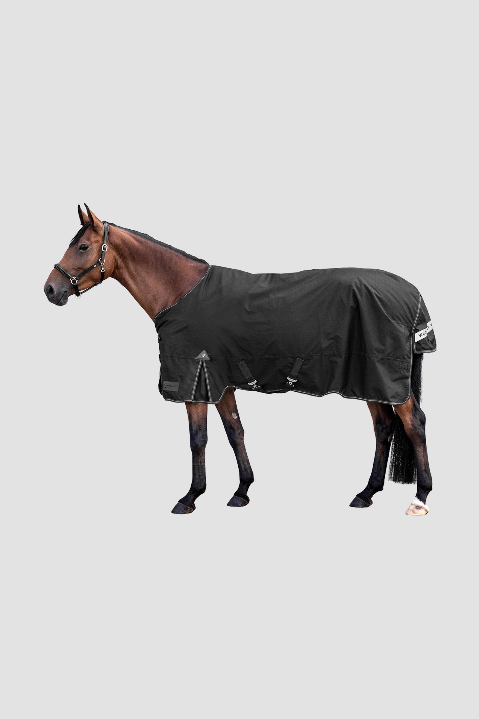 Waldhausen Outdoor Rug Arctic 300 g Hestedækken