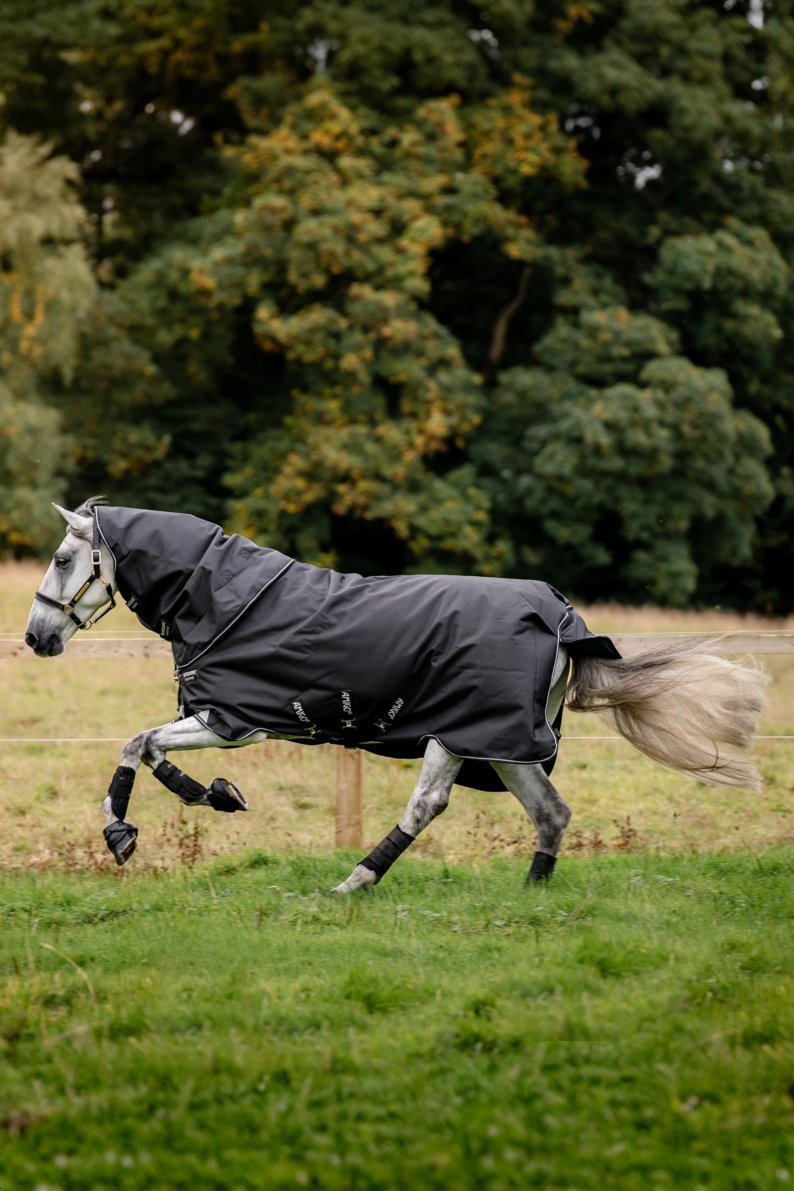 Horseware Amigo Super Bravo Plus Turnout Rug With Detachable Neck, 250g Horse Rugs