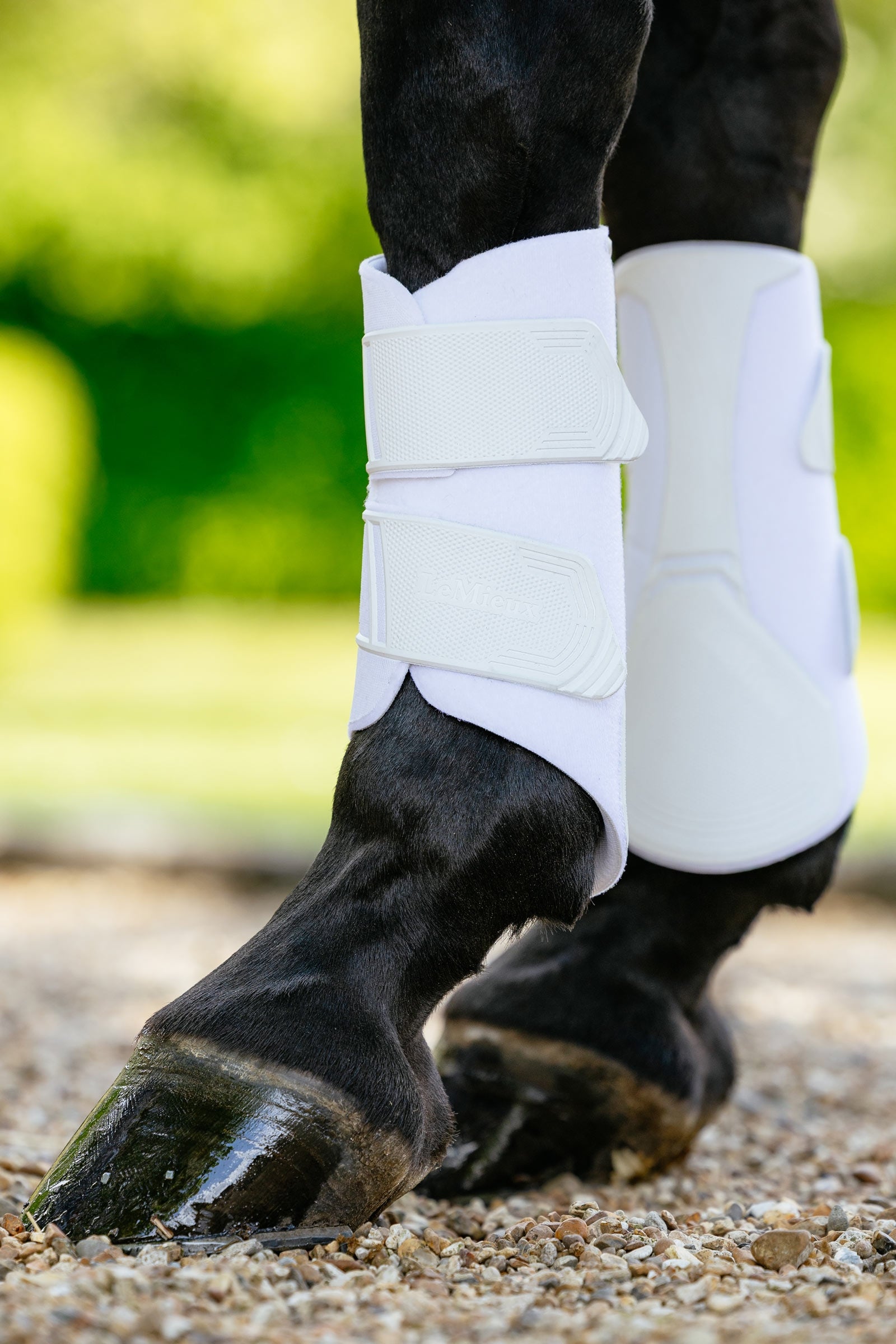 LeMieux Technical strygegamacher Leg Protection & Hoof Protection for Horses