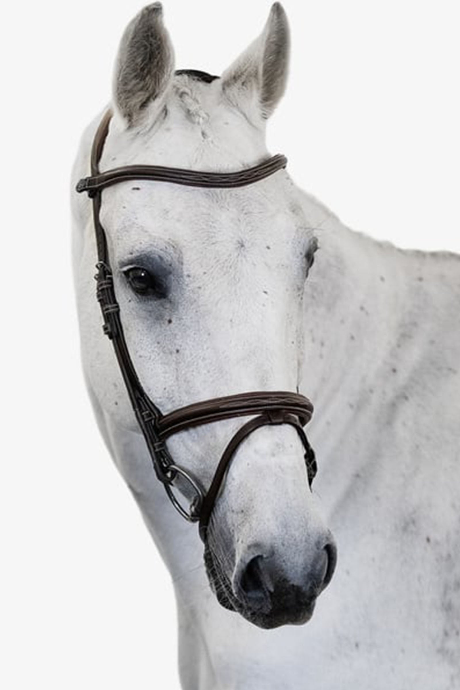 PS of Sweden bridle Stockholm Bridles & Reins