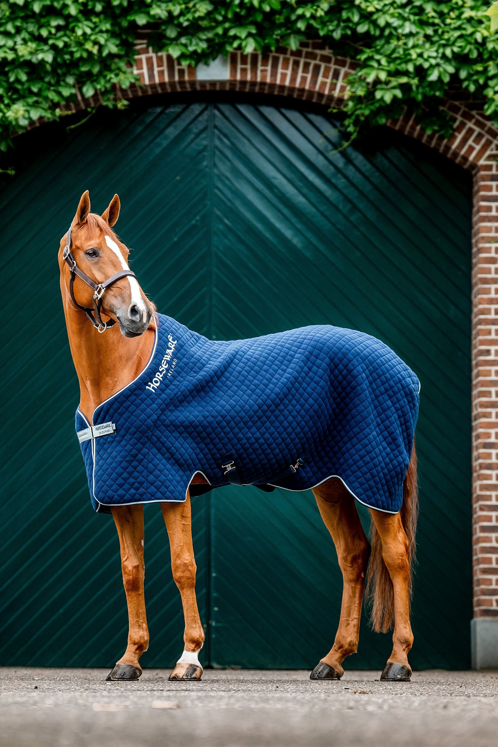 Horseware Autumn Cooler-dækken Hestedækken