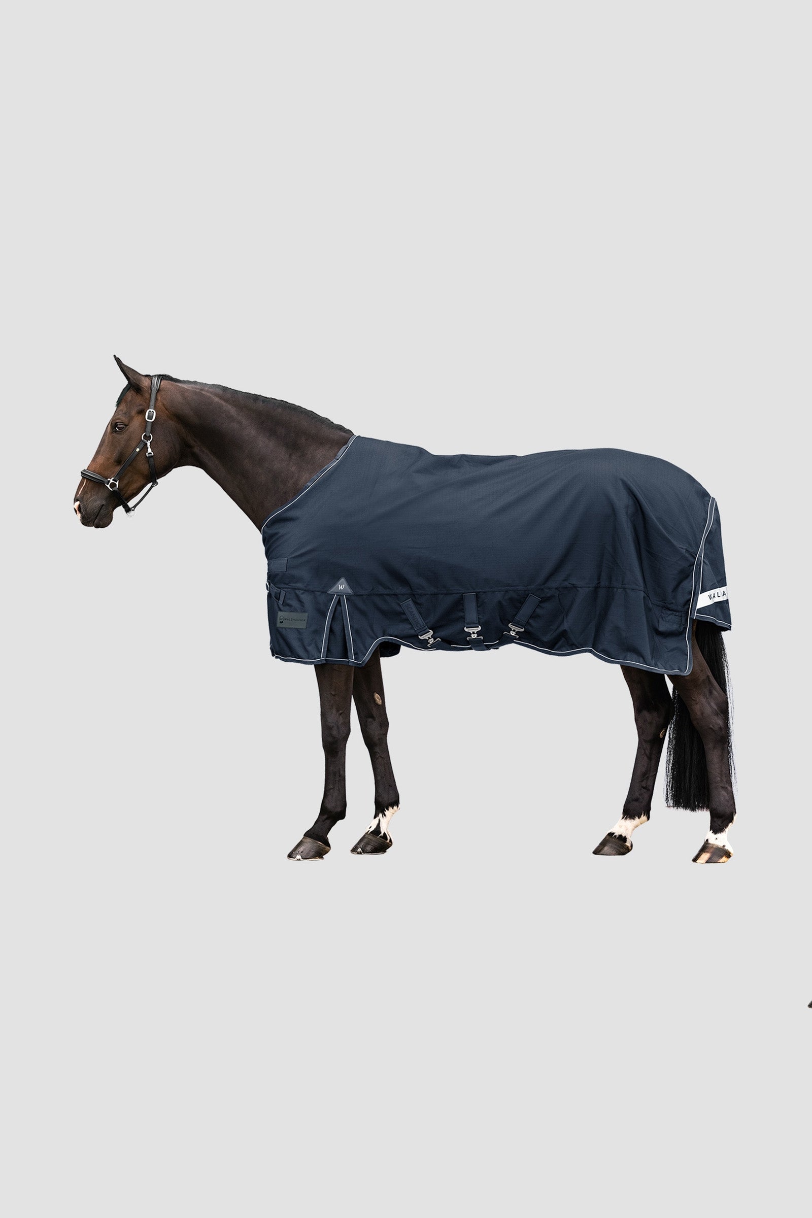 Waldhausen Outdoor Rug Scandic 300 g Hestedækken