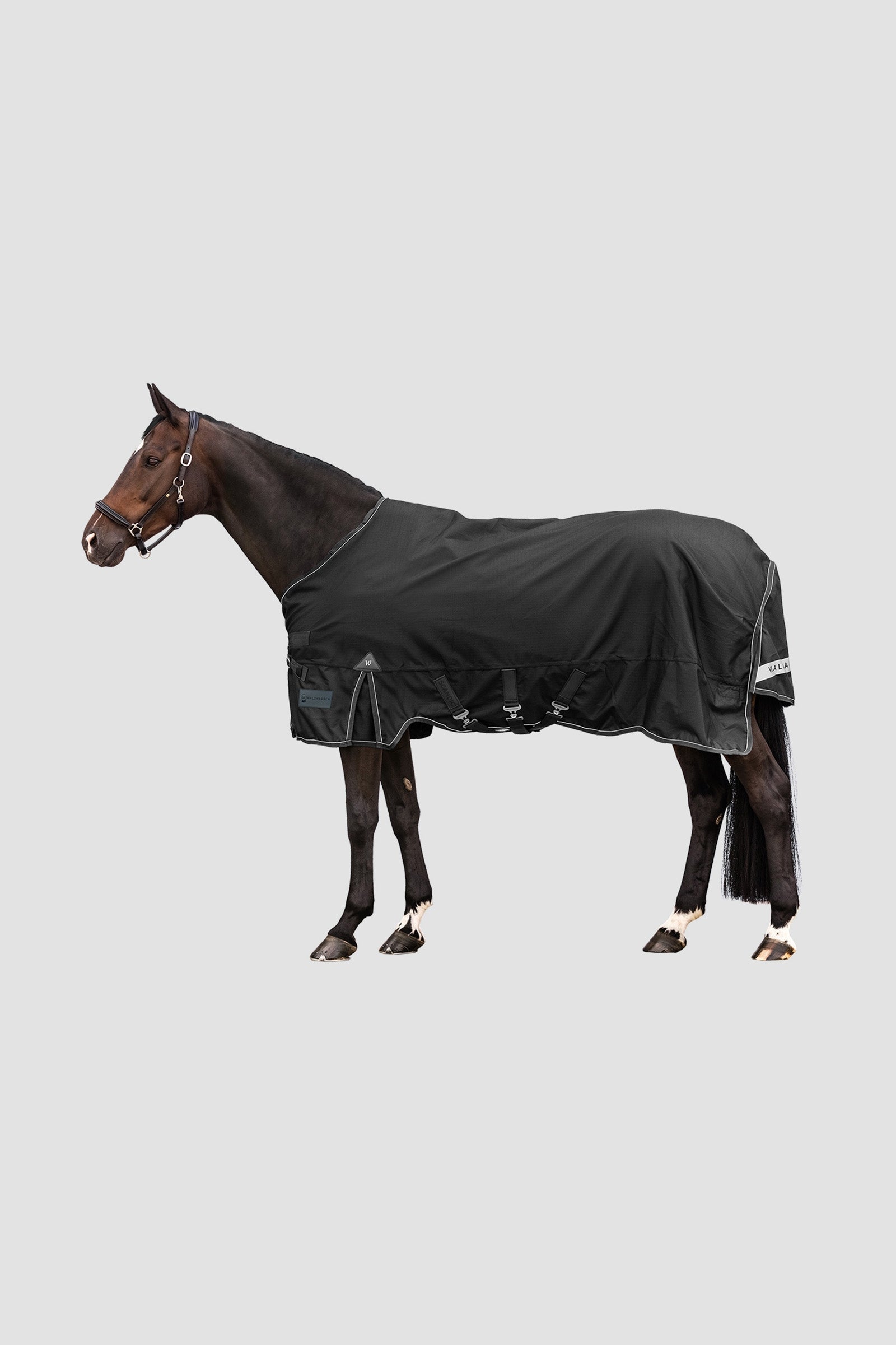 Waldhausen Outdoor Rug Scandic Multi-Layer 150g/50g Hestedækken