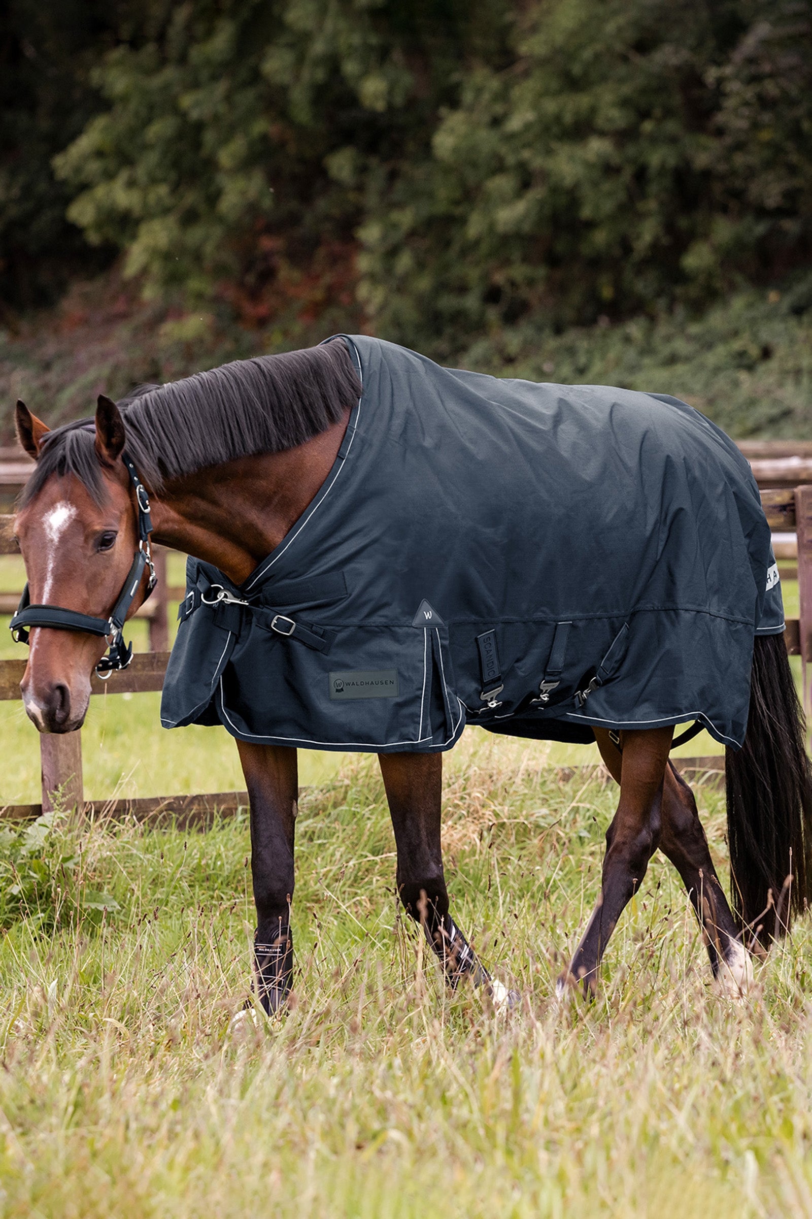 Waldhausen Outdoor Rug Scandic Multi-Layer 150g/50g Horse Rugs