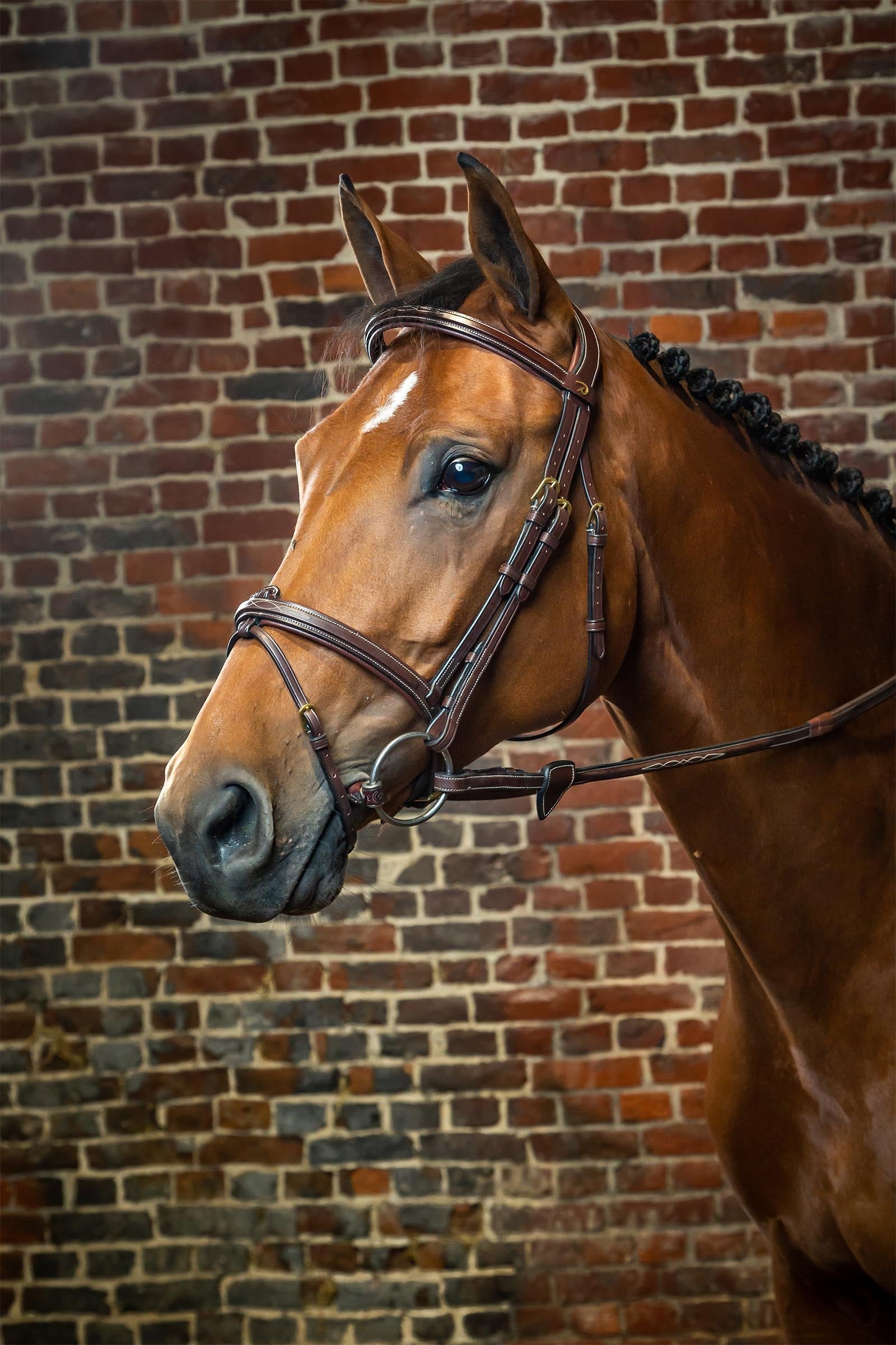Dy'on D Collection Bridle With Flash Noseband Bridles & Reins