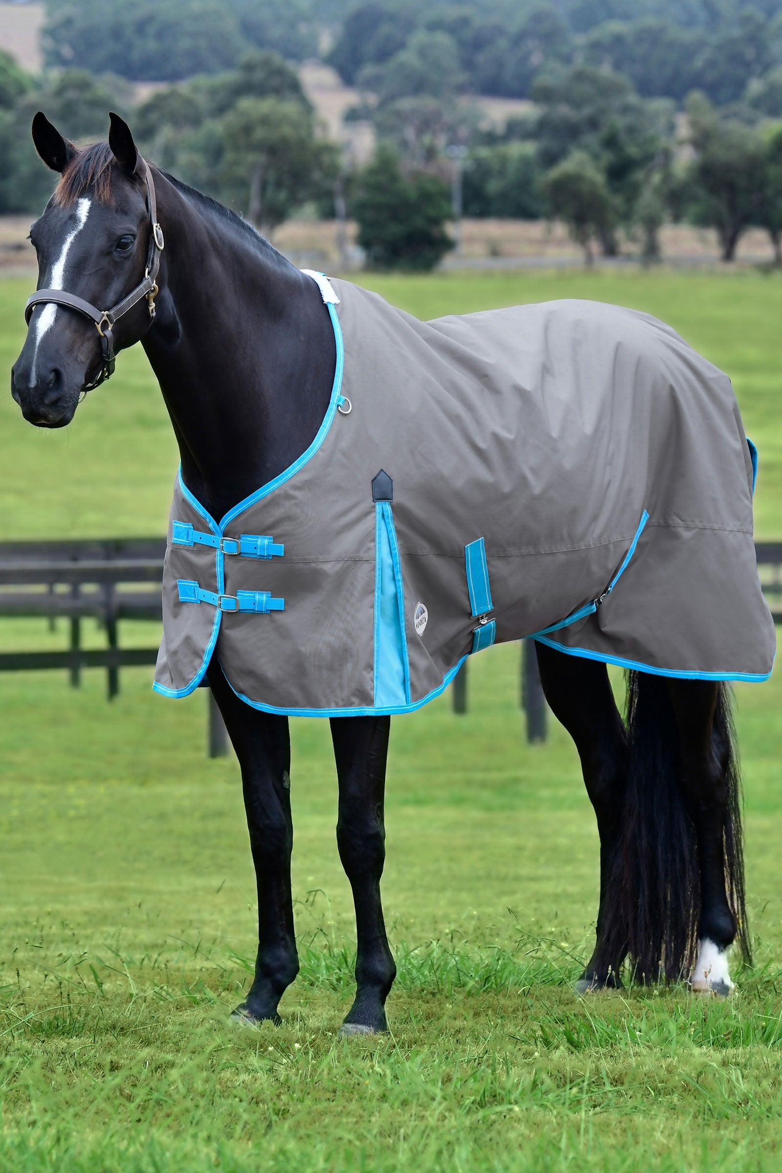 Weatherbeeta Comfitec Classic Turnout Rug, 0g Horse Rugs