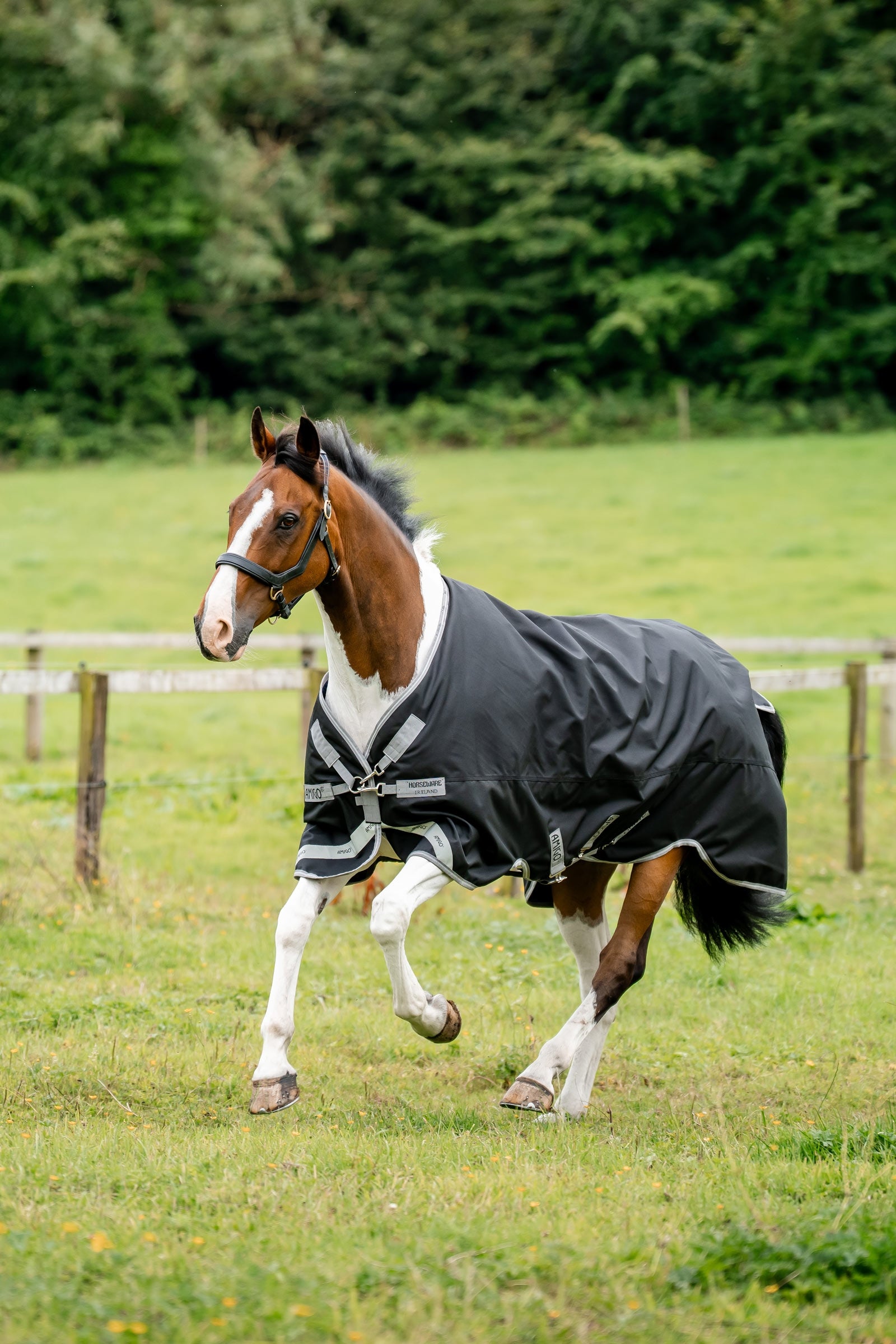Horseware Amigo 1200D udedækken, 50 g Hestedækken