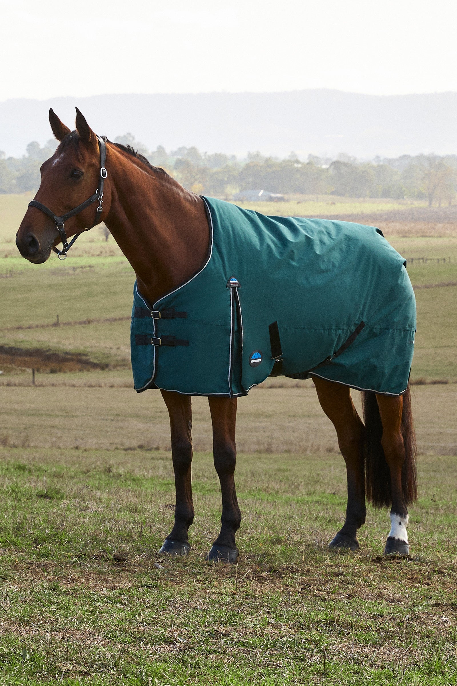 Weatherbeeta ComFiTec Classic Turnout Standard Neck 220G Hestedækken