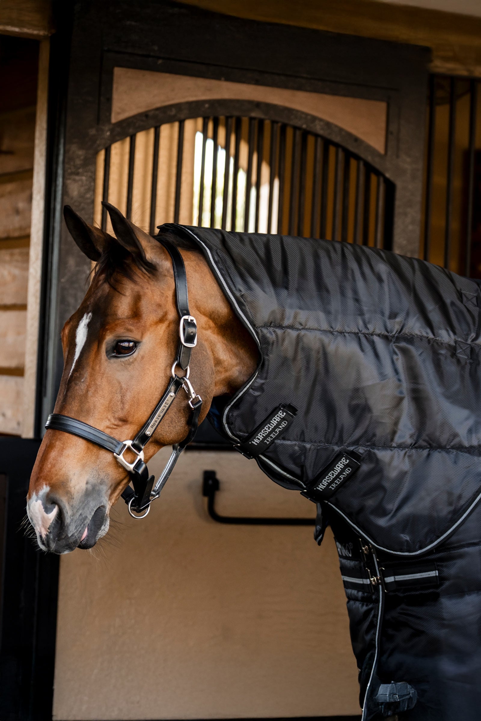 Horseware Amigo Ripstop Insulator Plus stalddækken, 200 g Hestedækken