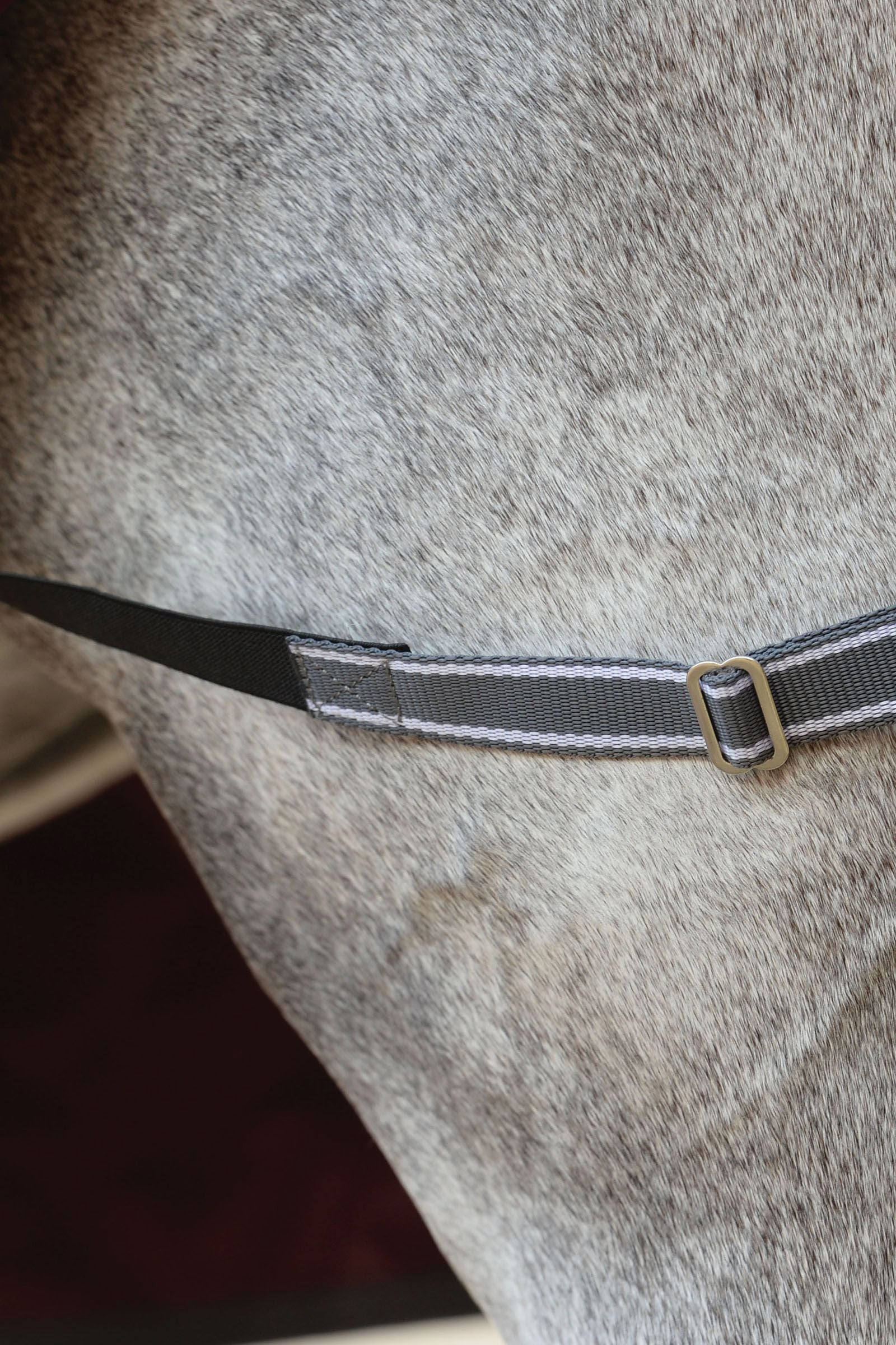 Weatherbeeta Comfitec Plus Dynamic II Combo Neck Turnout Rug, 220g Horse Rugs