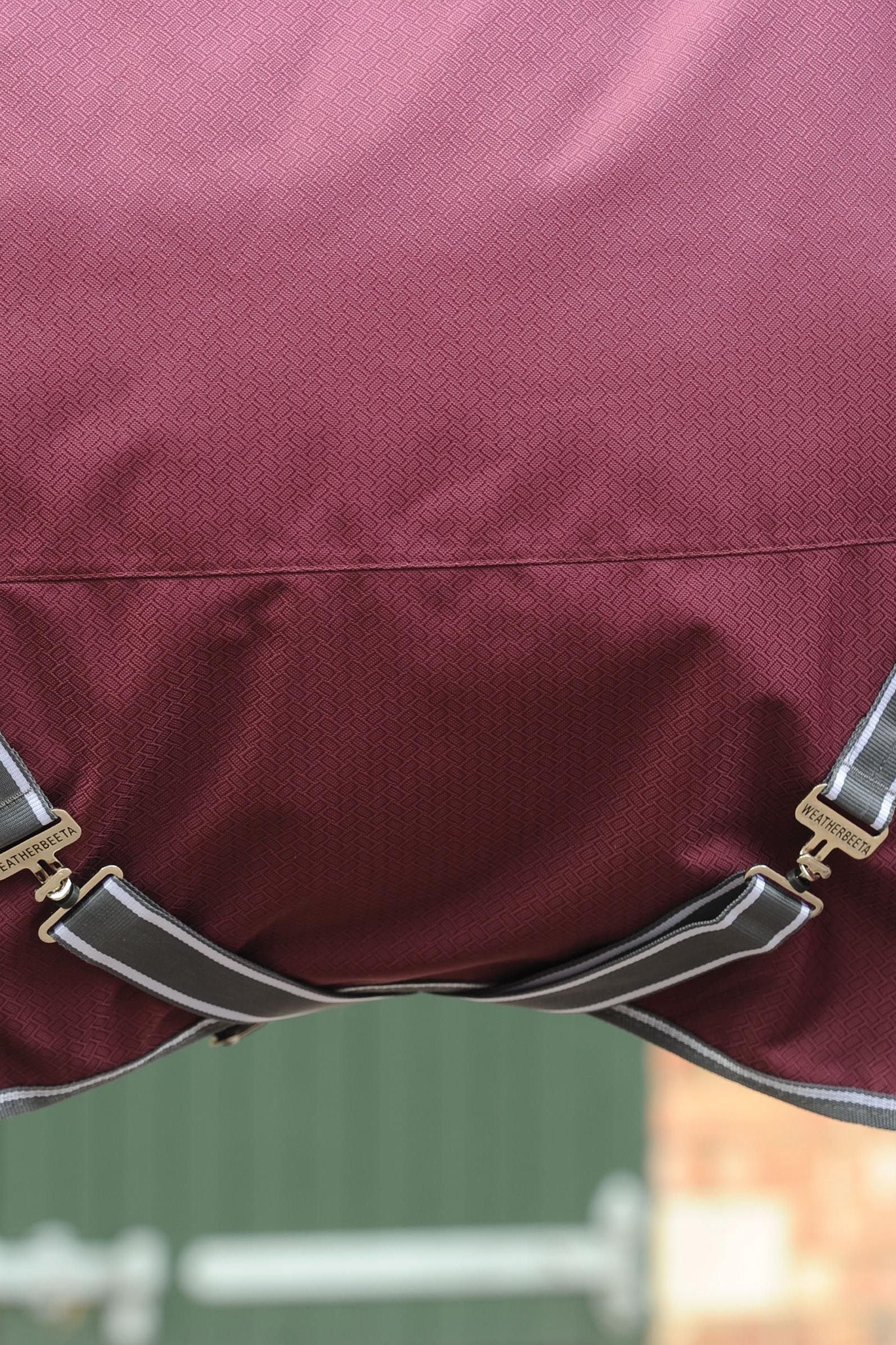 Weatherbeeta Comfitec Plus Dynamic II Combo Neck Turnout Rug, 220g Horse Rugs