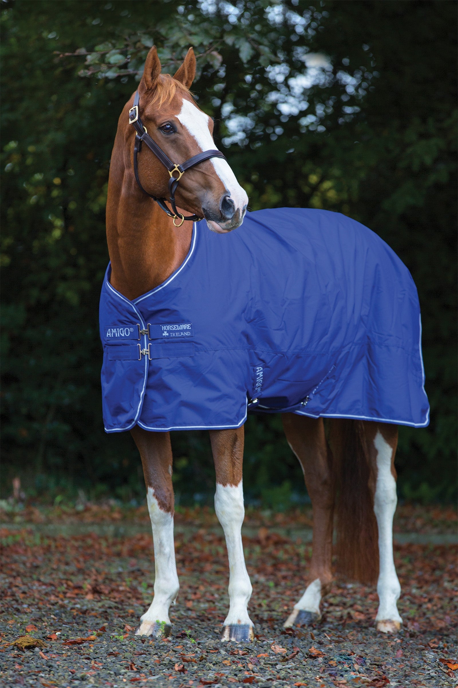 Horseware Amigo Hero 900 Plus Medium udedækken, 200g Hestedækken