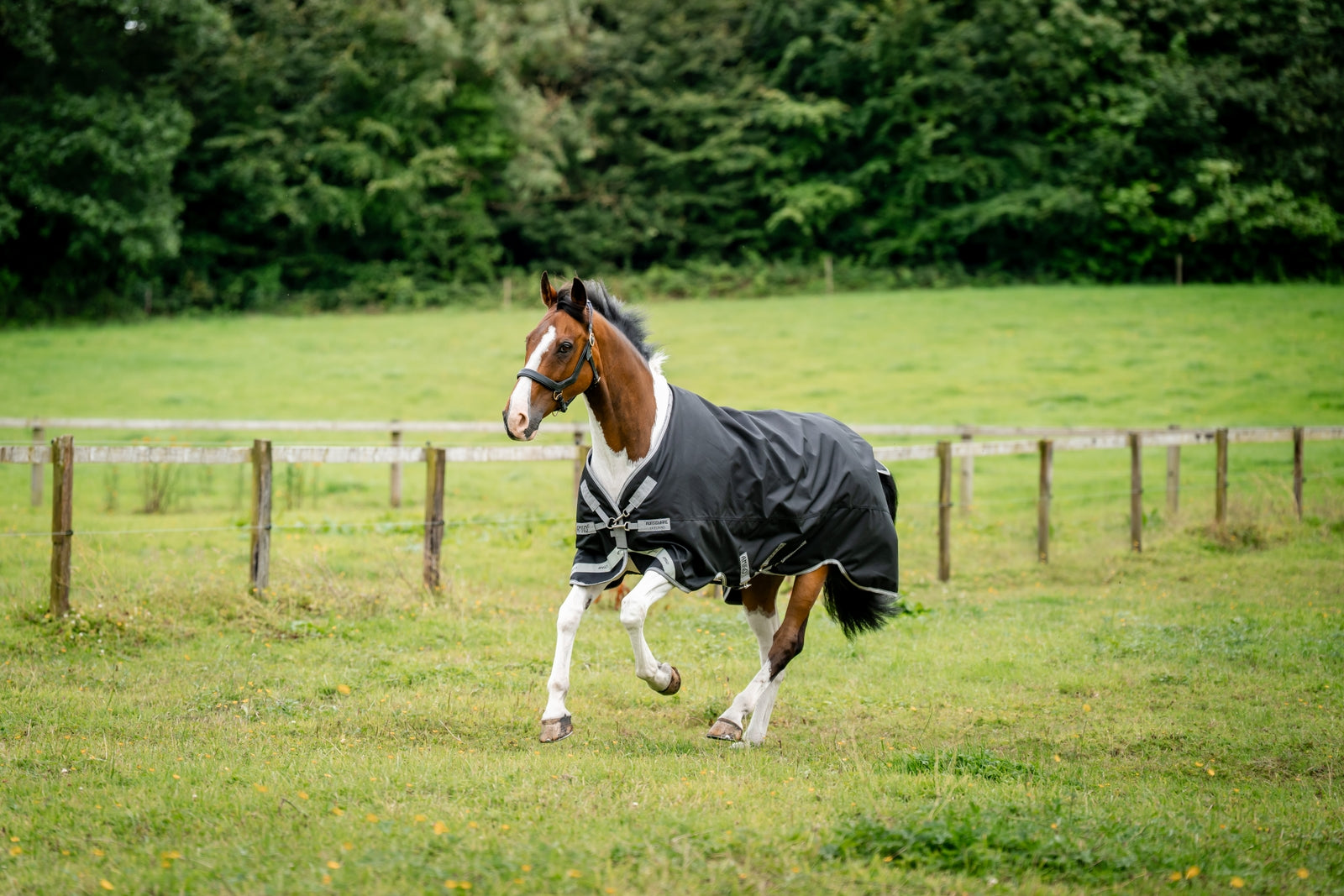 Horseware Amigo 1200D udedækken, 100 g Hestedækken