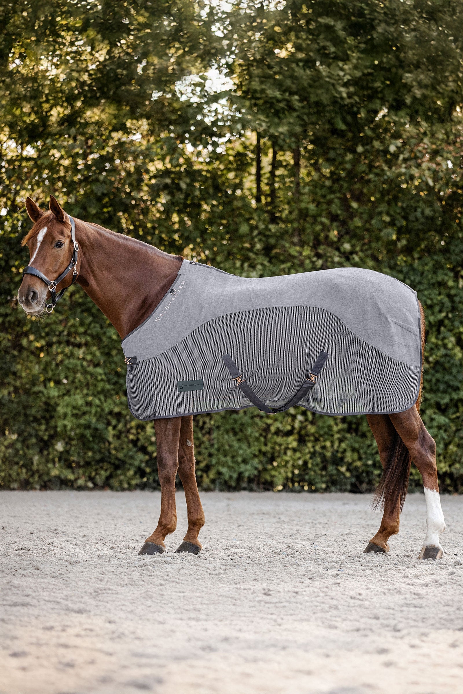 Waldhausen Comfort fleece fluedækken Hestedækken