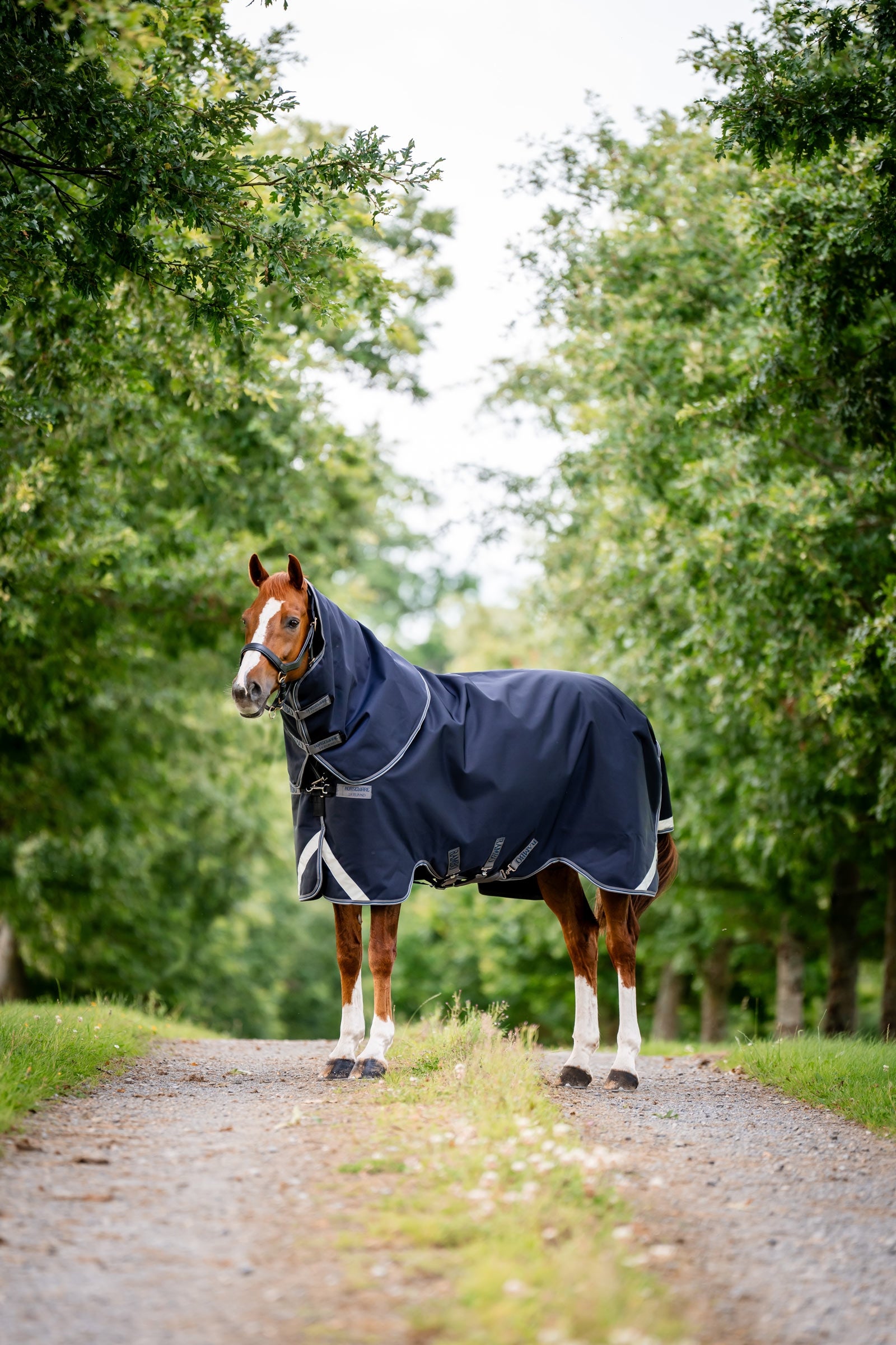 Horseware Rambo 1680D Plus Vario Layer udedækken, 250 g Hestedækken