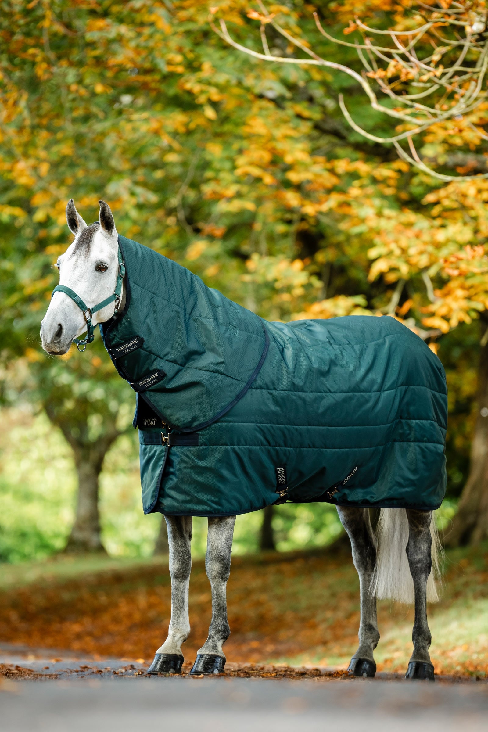 Horseware Amigo Ripstop Insulator Stalddækken 50g Hestedækken