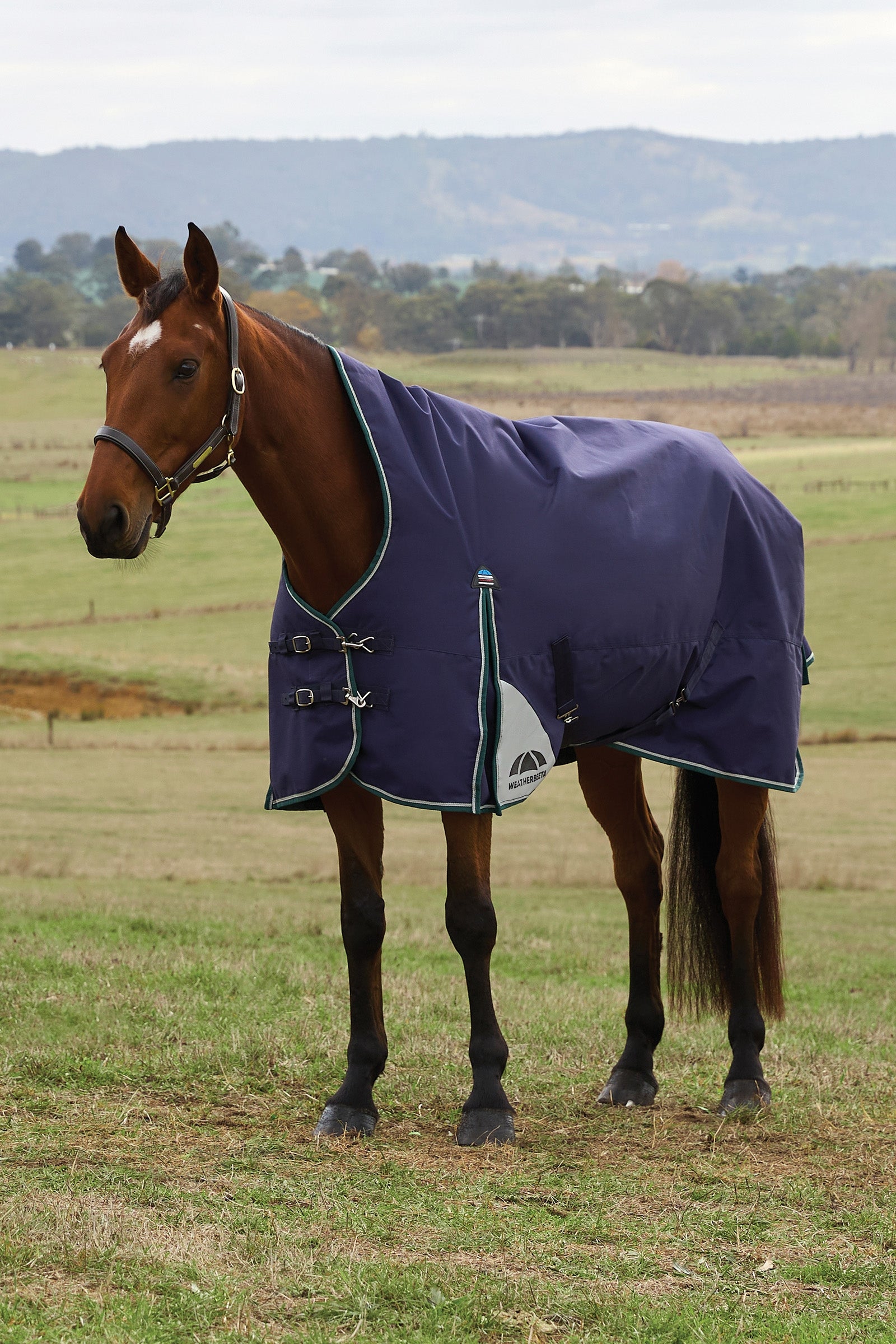 Weatherbeeta ComFiTecPlus Dynamic Turnout High Neck 100G Hestedækken