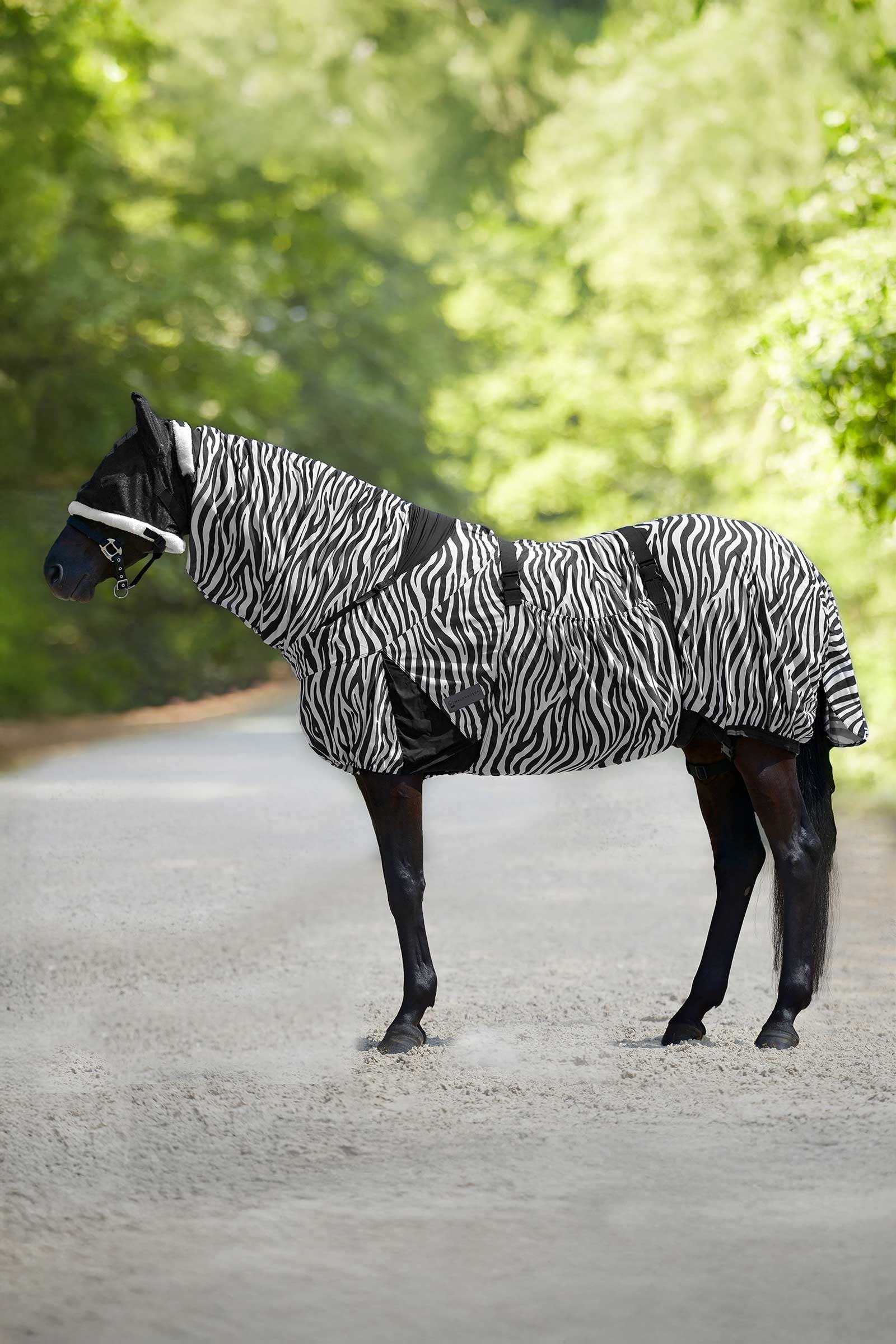 Waldhausen Zebra deka proti ekzému Hestedækken