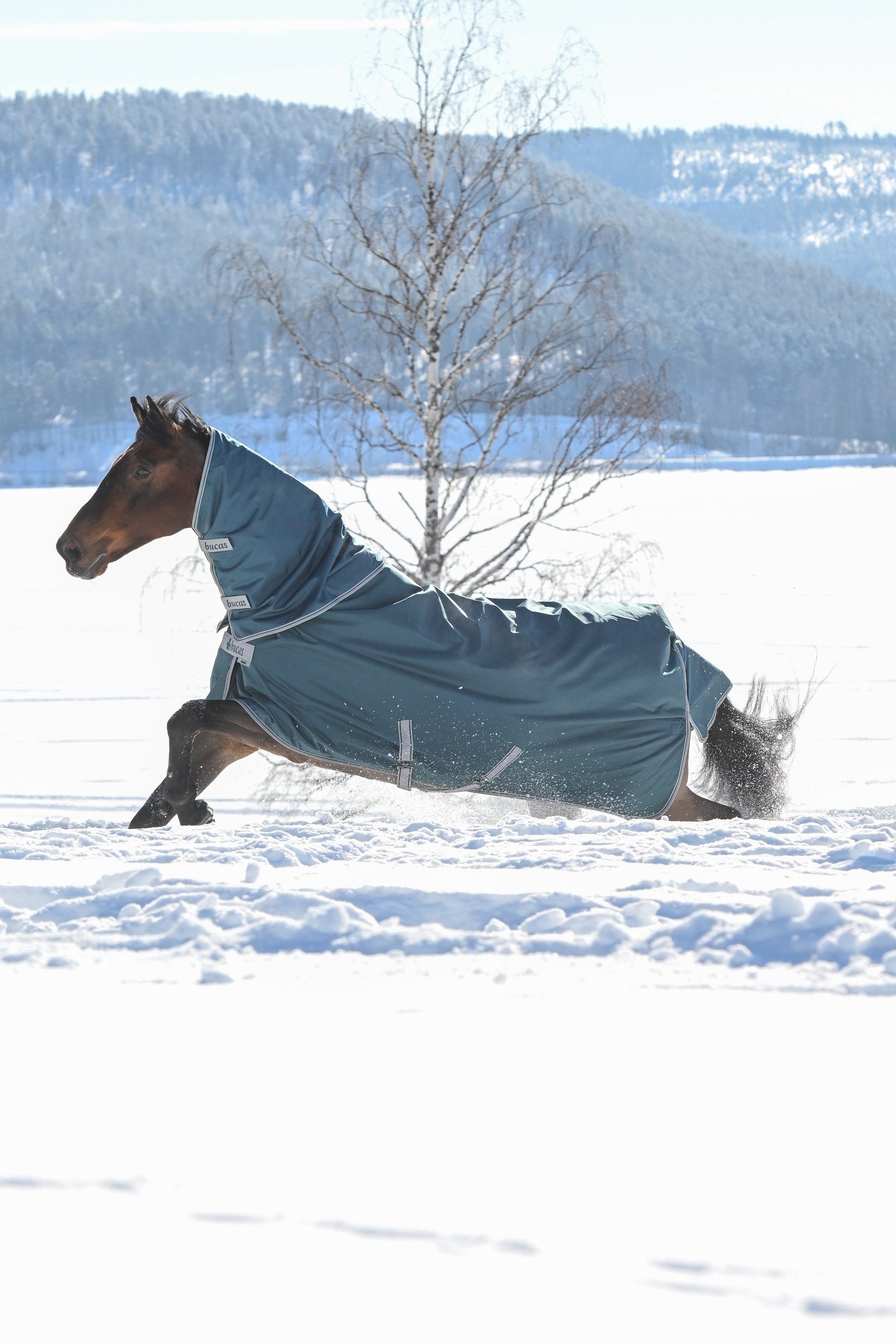 Bucas Atlantic Turnout Neck Piece, 300 g Horse Rugs