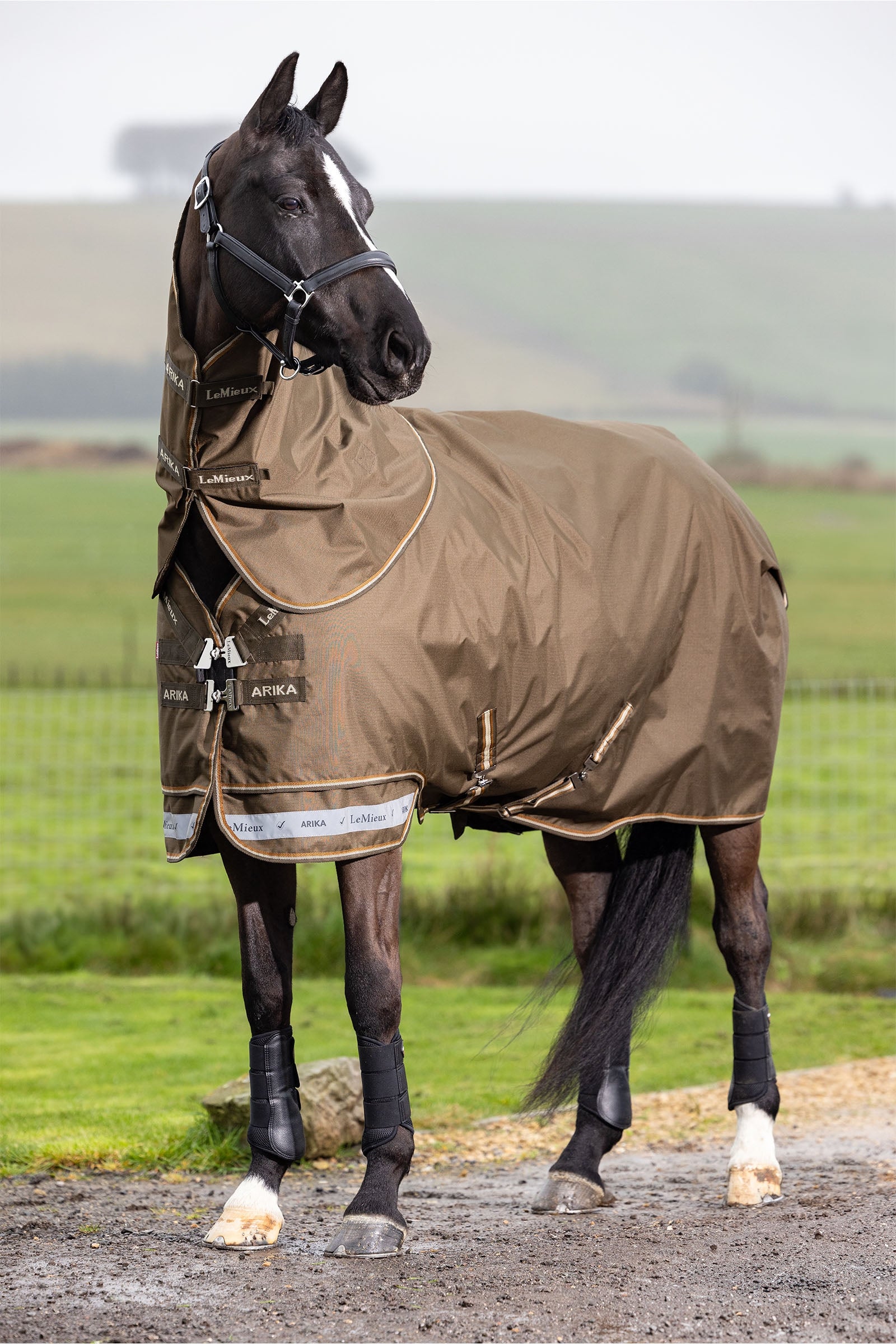 LeMieux Arika Ripstop Turnout Rug With Detachable Neck, 100 g Hestedækken