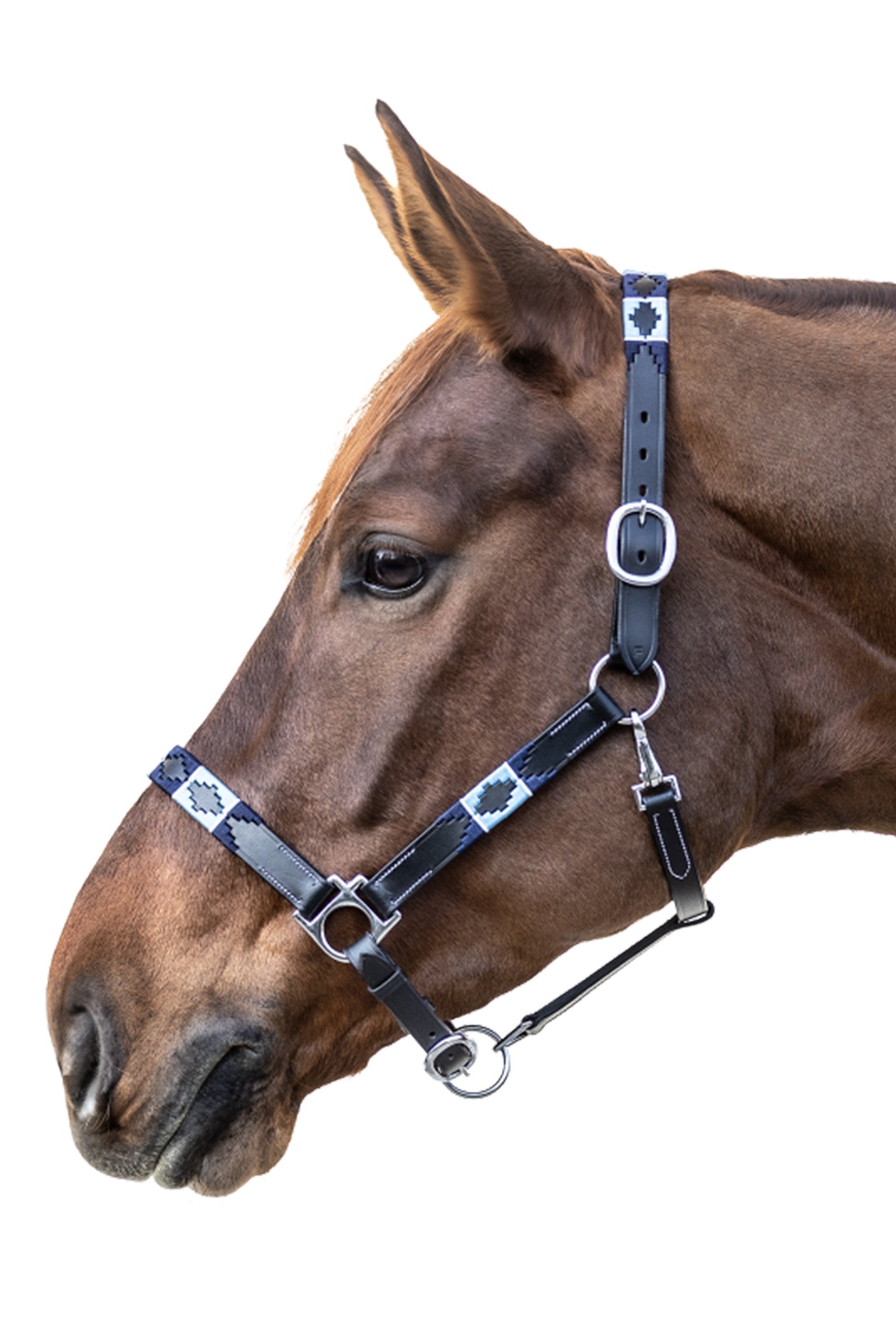 Waldhausen Polo Halter Halters & Leads