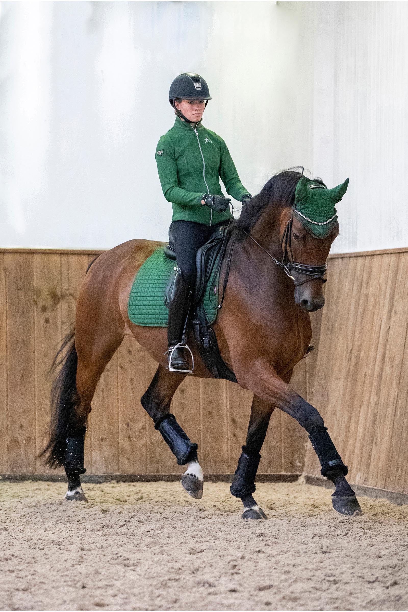 LeMieux Suede Seasonal Luxury Dressage Pad Saddle Pads