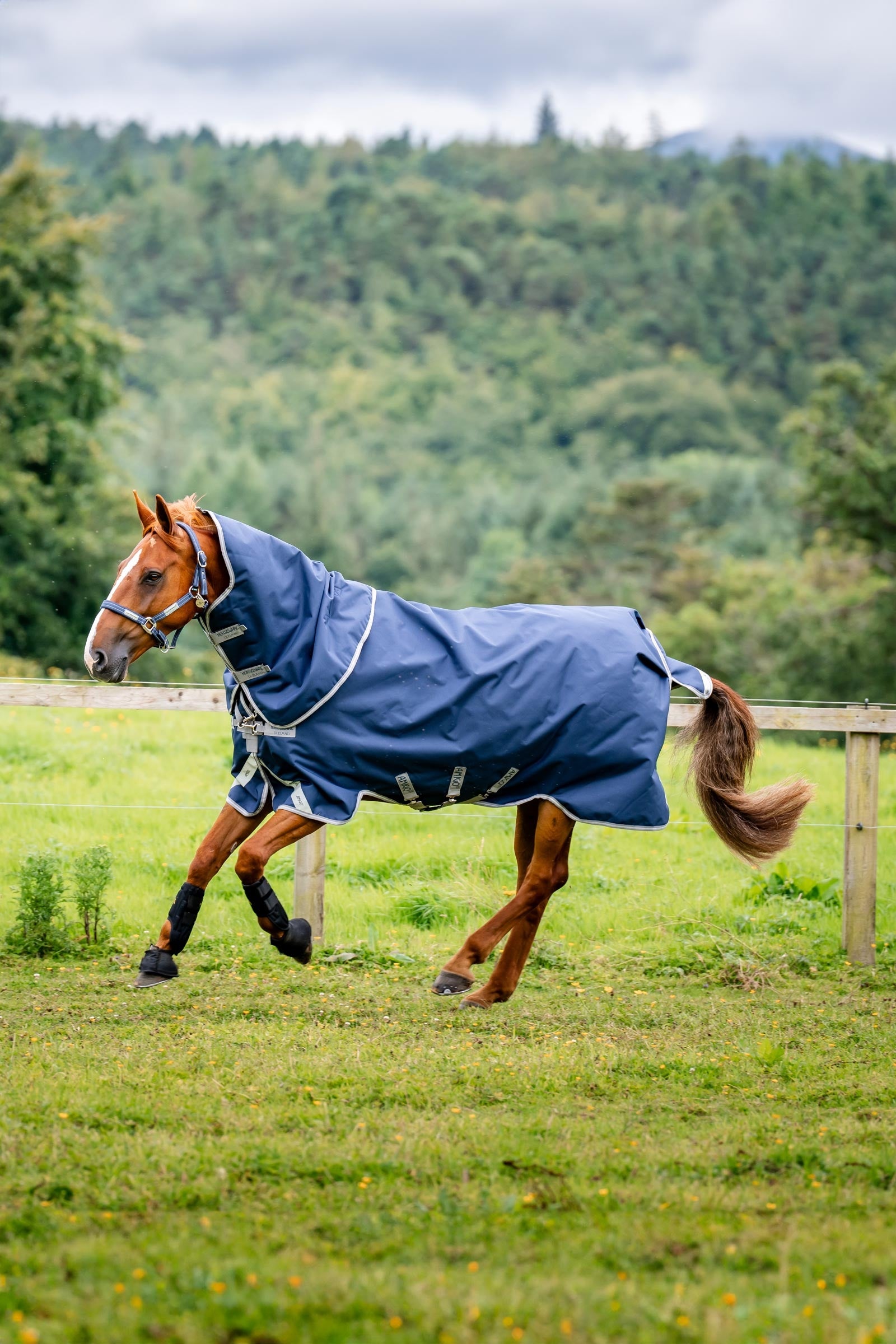 Horseware Amigo Bravo 12 Plus udedækken med aftagelig hals, 400g Hestedækken