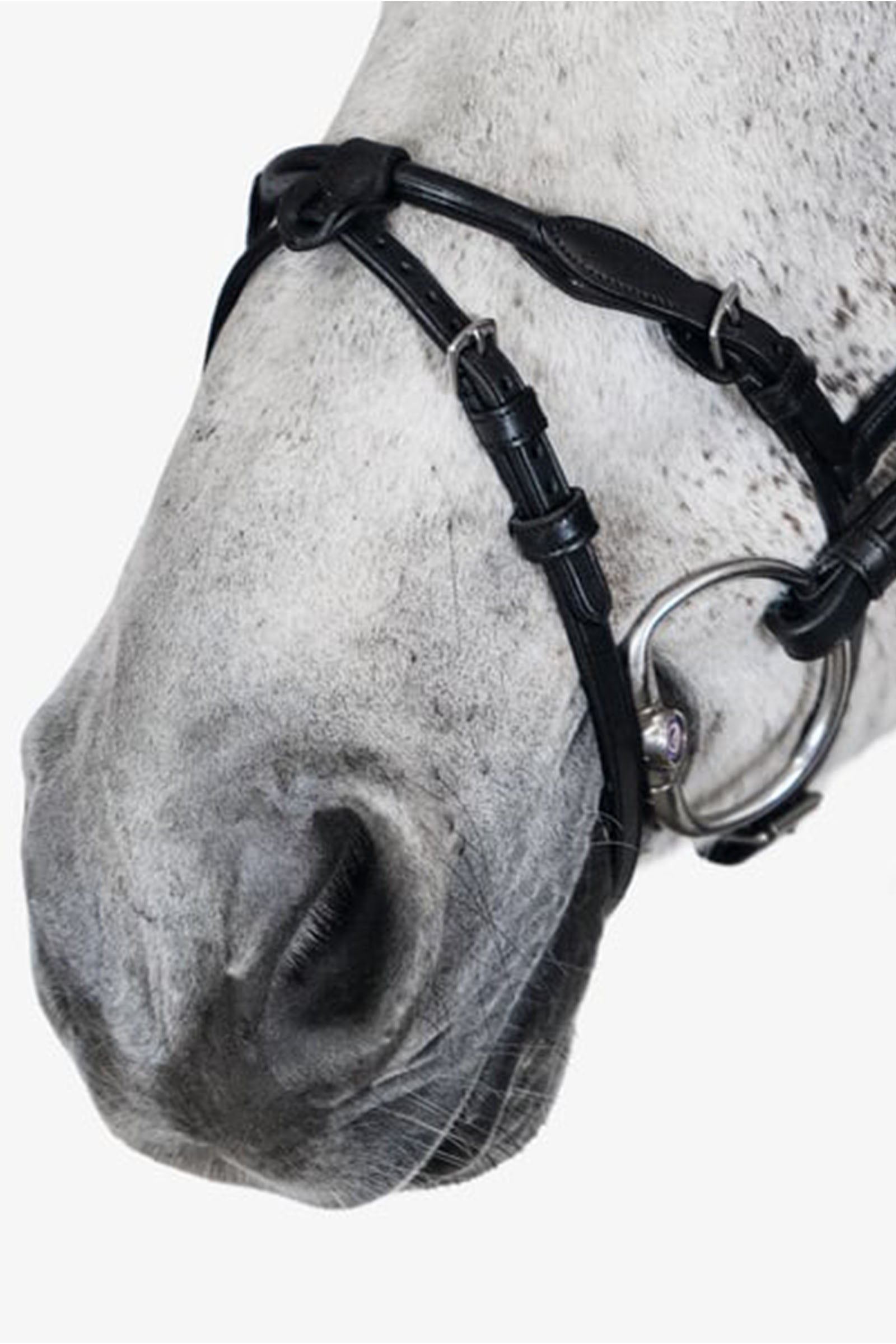 PS of Sweden Bridle, Mary Lou by Henrik von Eckermann Bridles & Reins