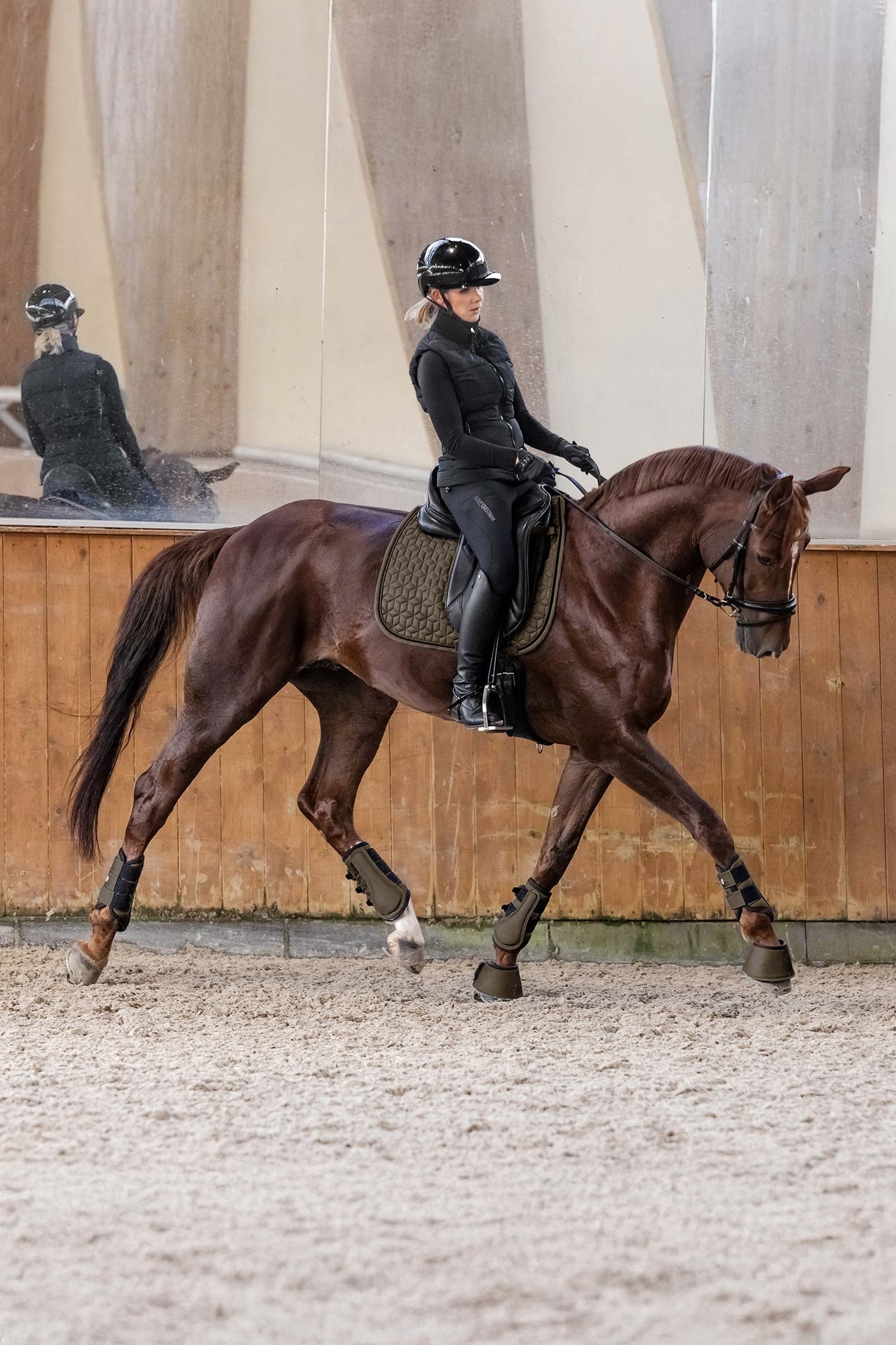 Waldhausen Philadelphia Dressage Saddle Pad Saddle Pads