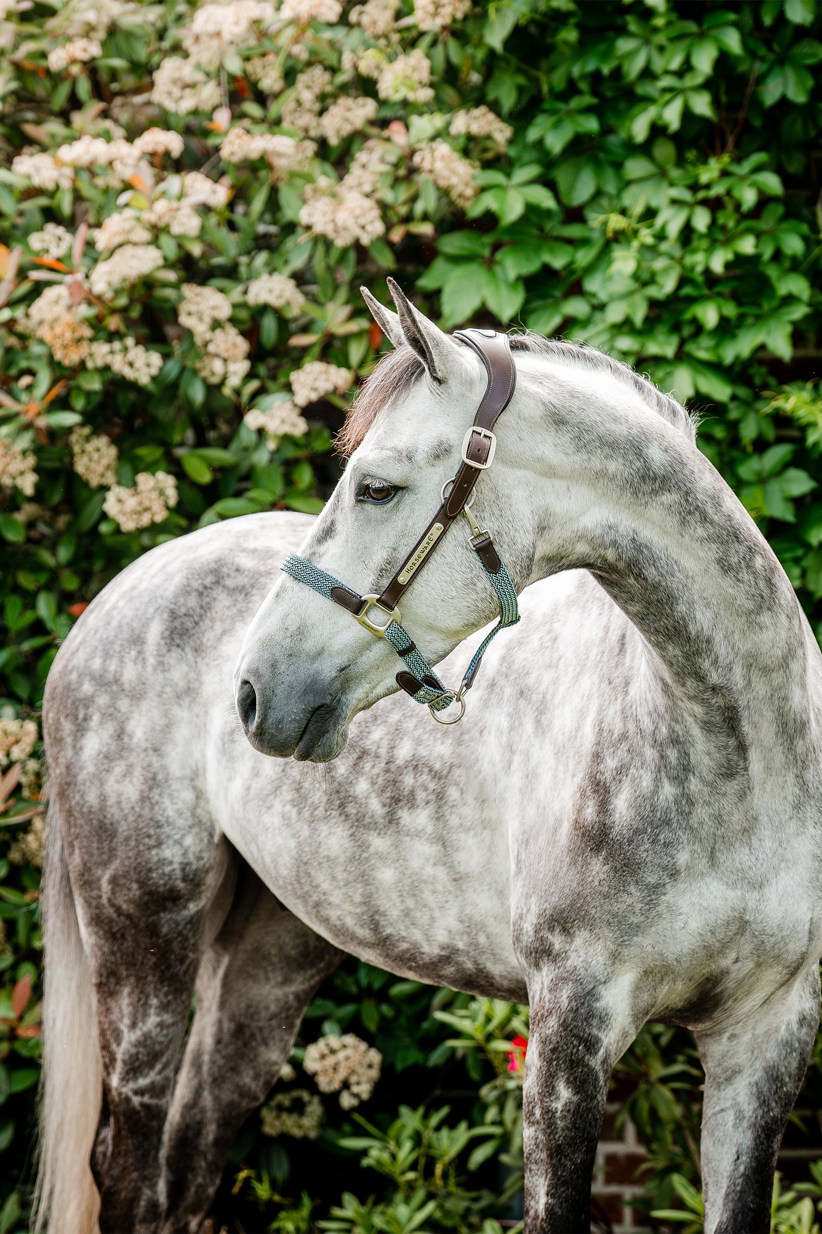Horseware signatur flettet grime Grimer & Træktove