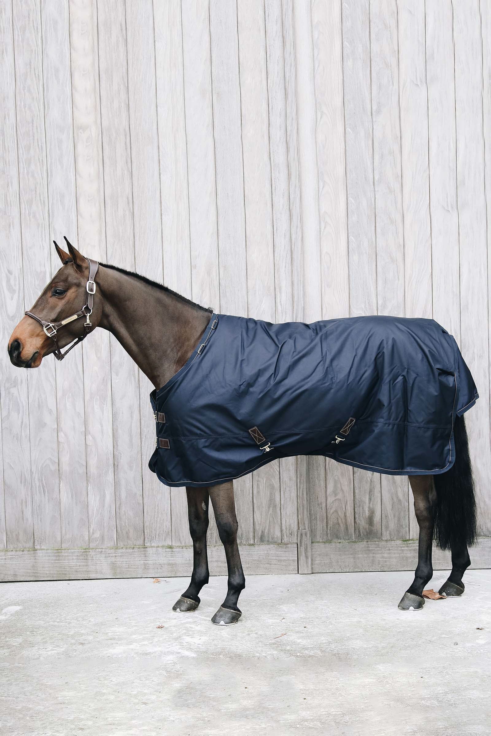 Kentucky Horsewear All Weather Waterproof Pro Regndækken, 0 gr Hestedækken