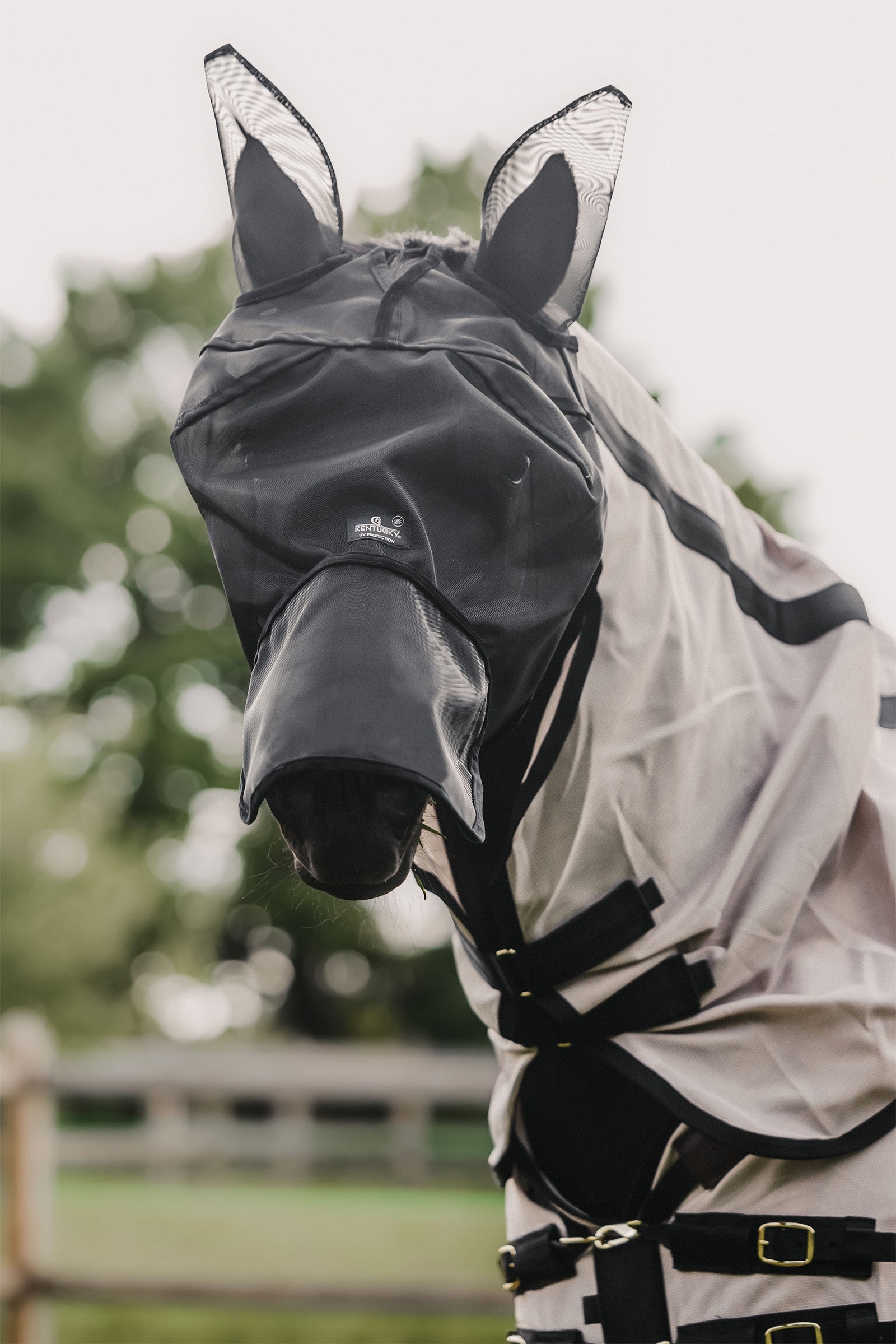 Kentucky Horsewear Fly Mask Classic with Ears and Nose Fluebeskyttelse