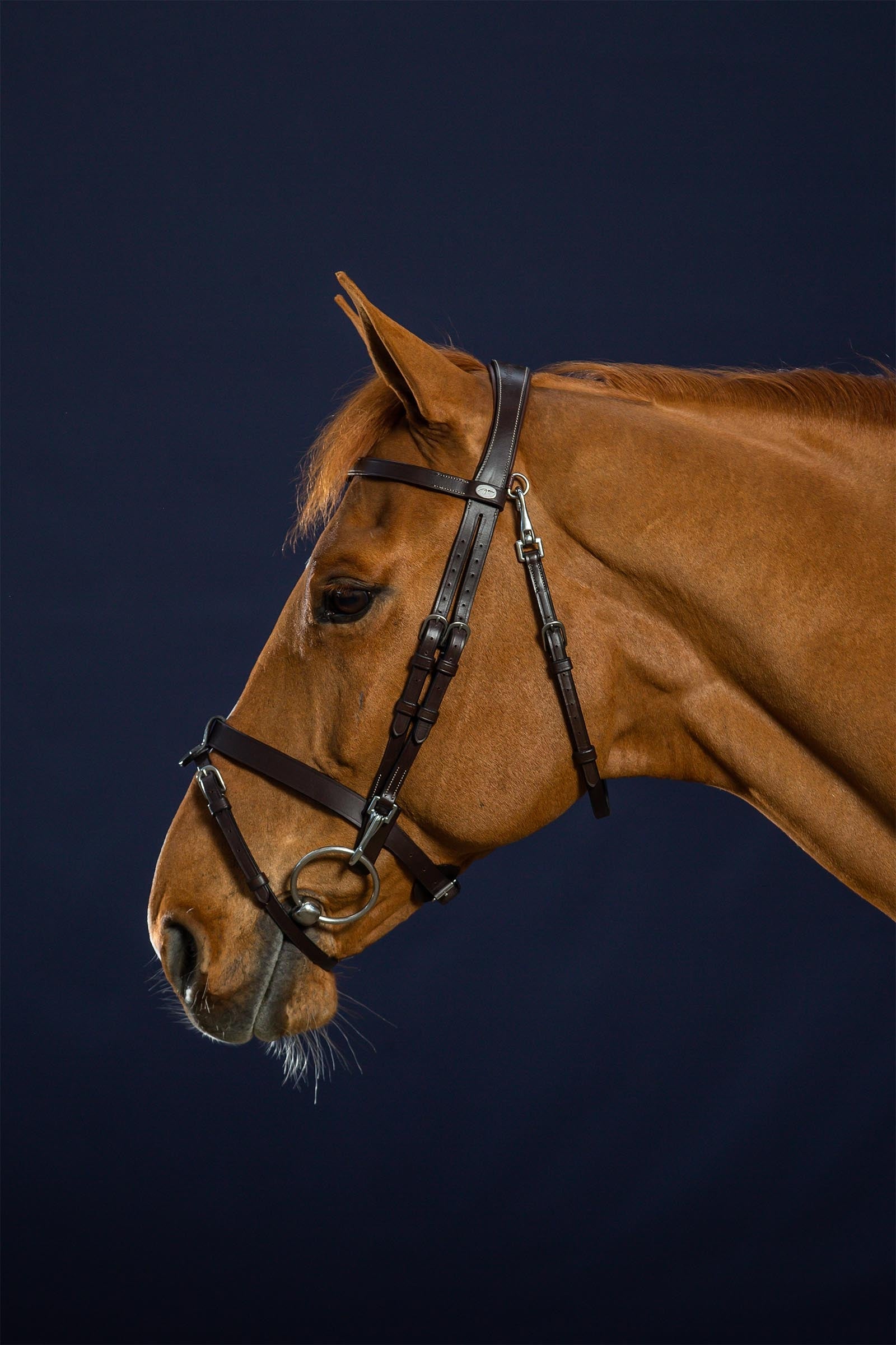 Dy'on Working Flat Leather Bridle With Snap Hooks Bridles & Reins