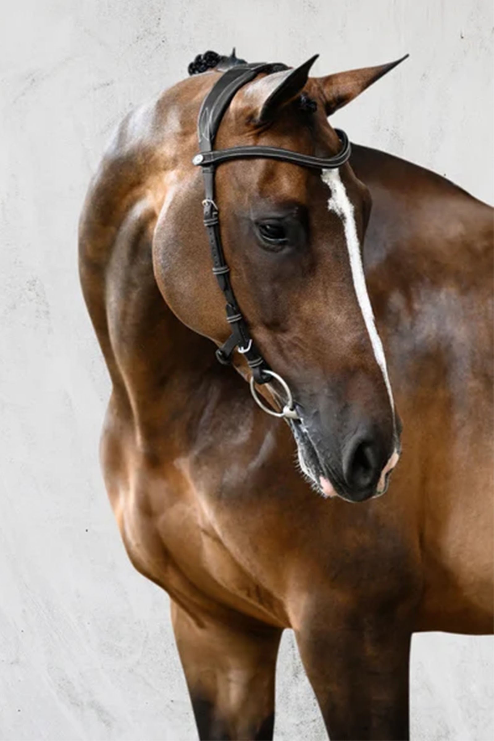 PS of Sweden Bridle Helsinki Bridles & Reins