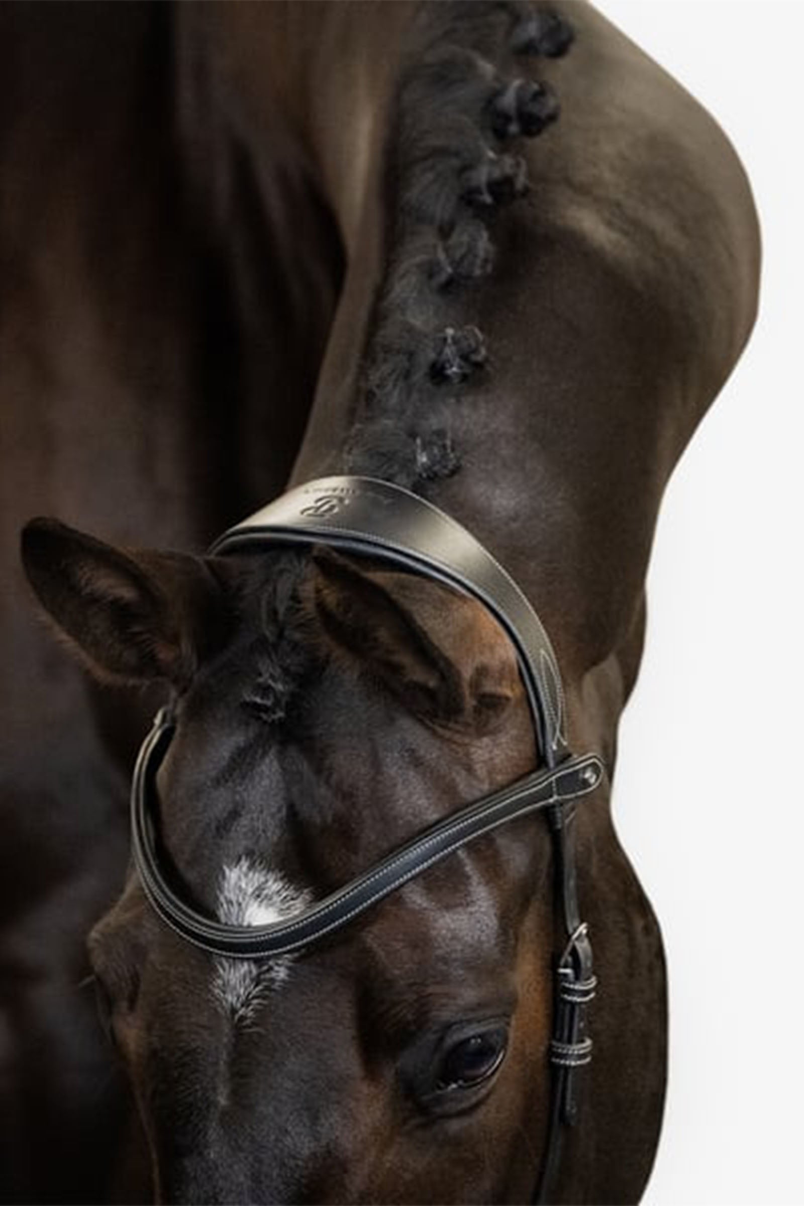 PS of Sweden Bridle Helsinki Bridles & Reins