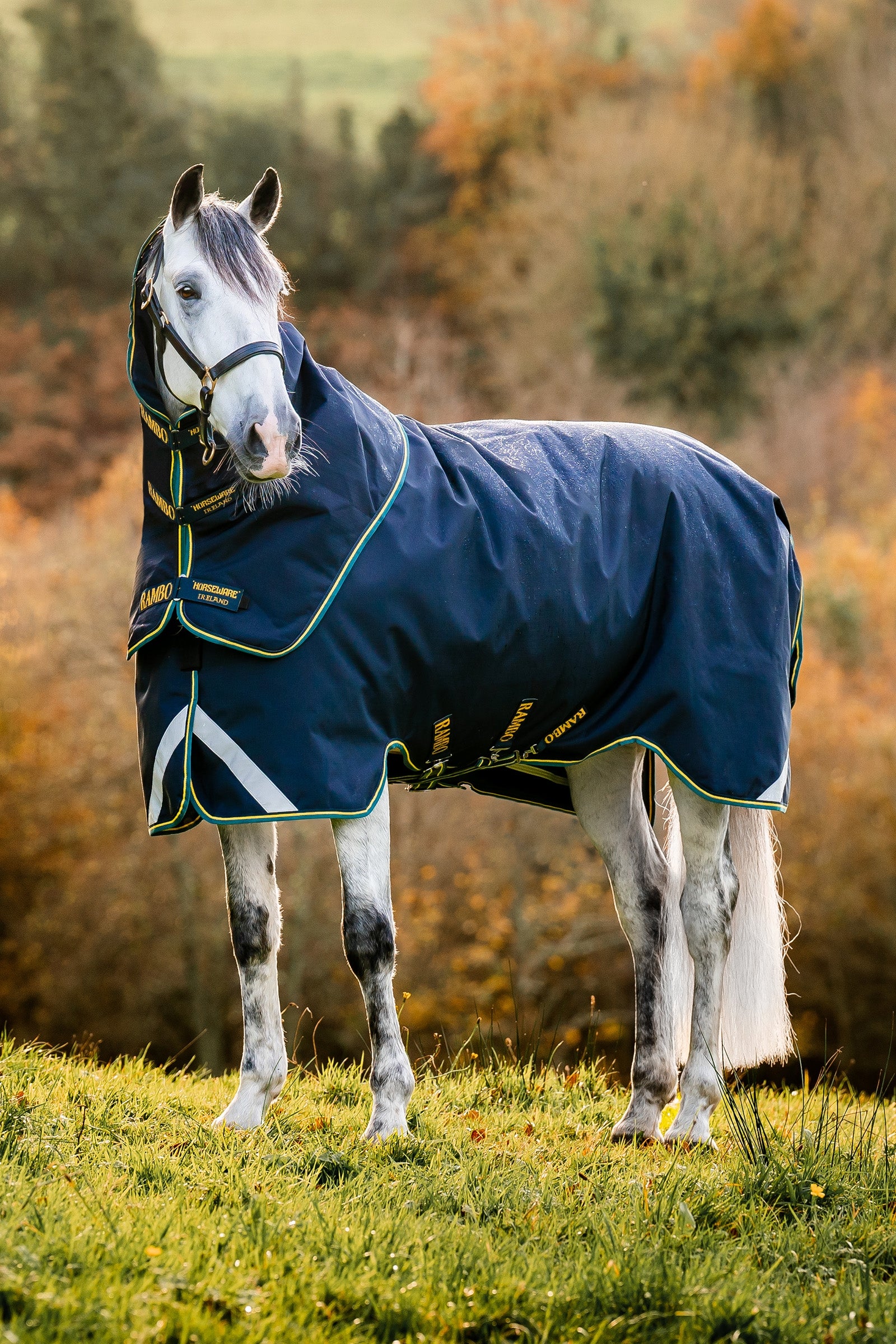 Horseware Rambo Duo Force 2.0 (100g + 100g + 300g) Horse Rugs