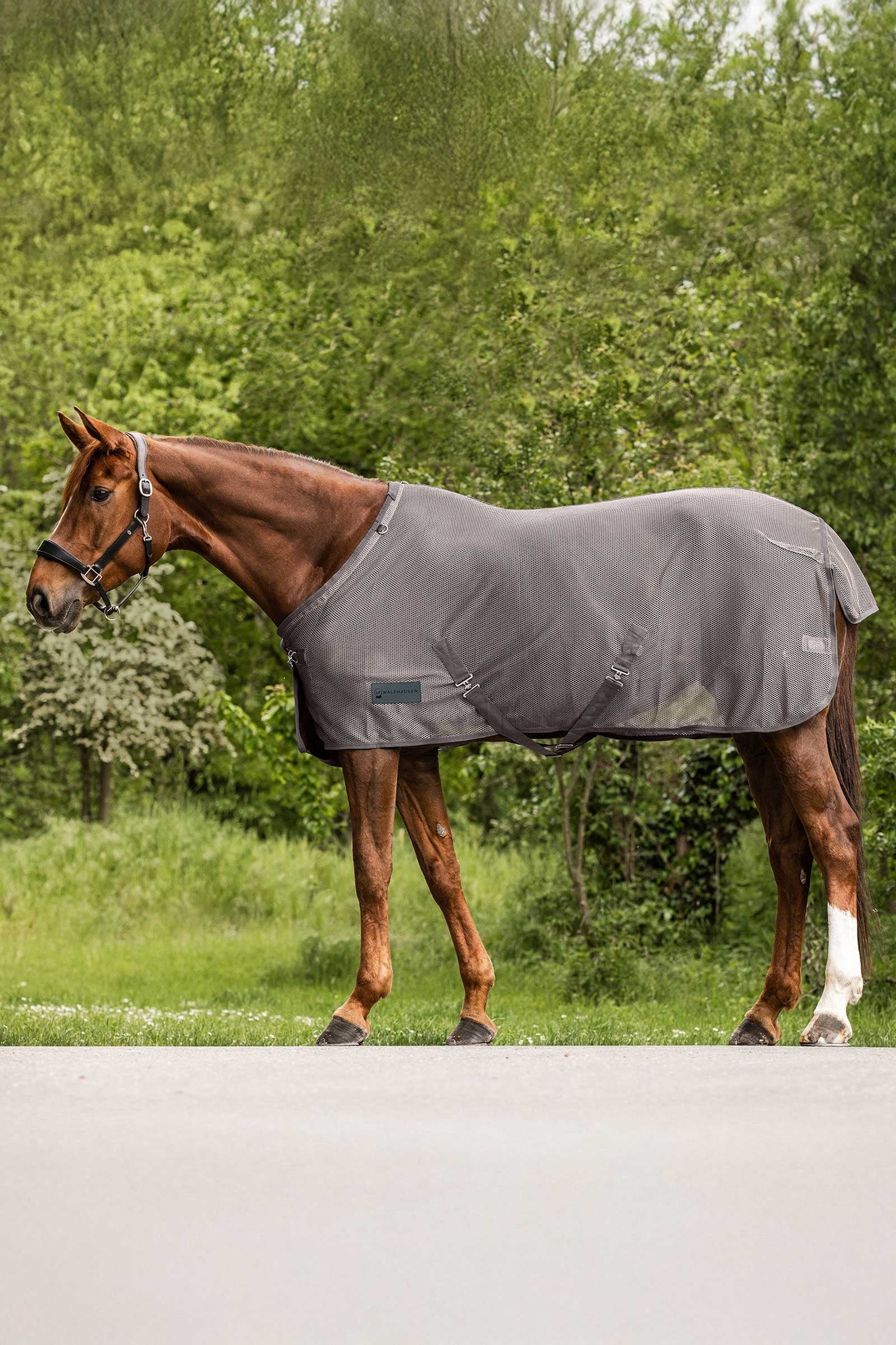 Waldhausen Comfort fluedækken Hestedækken
