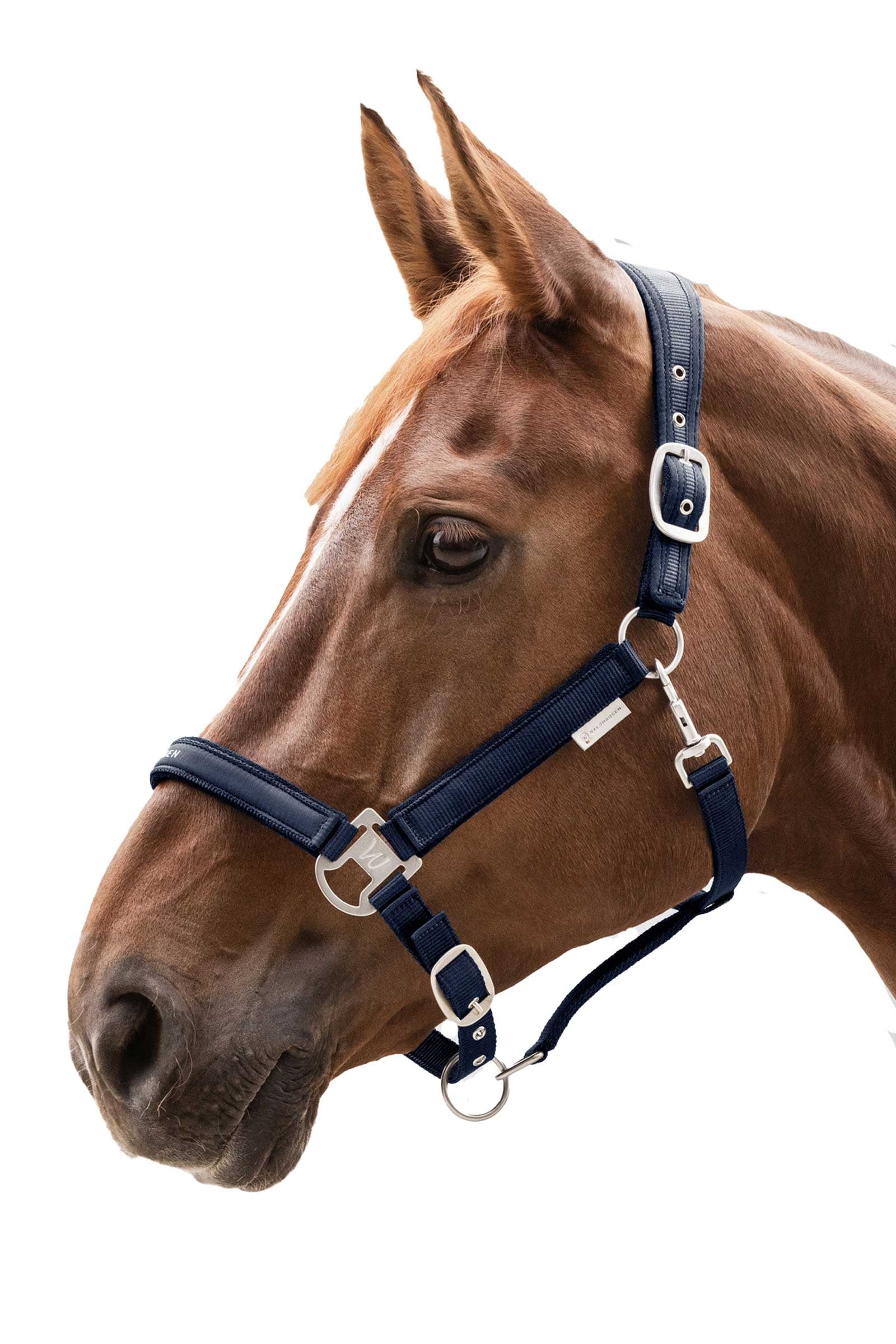 Waldhausen Athletic Halter Halters & Leads
