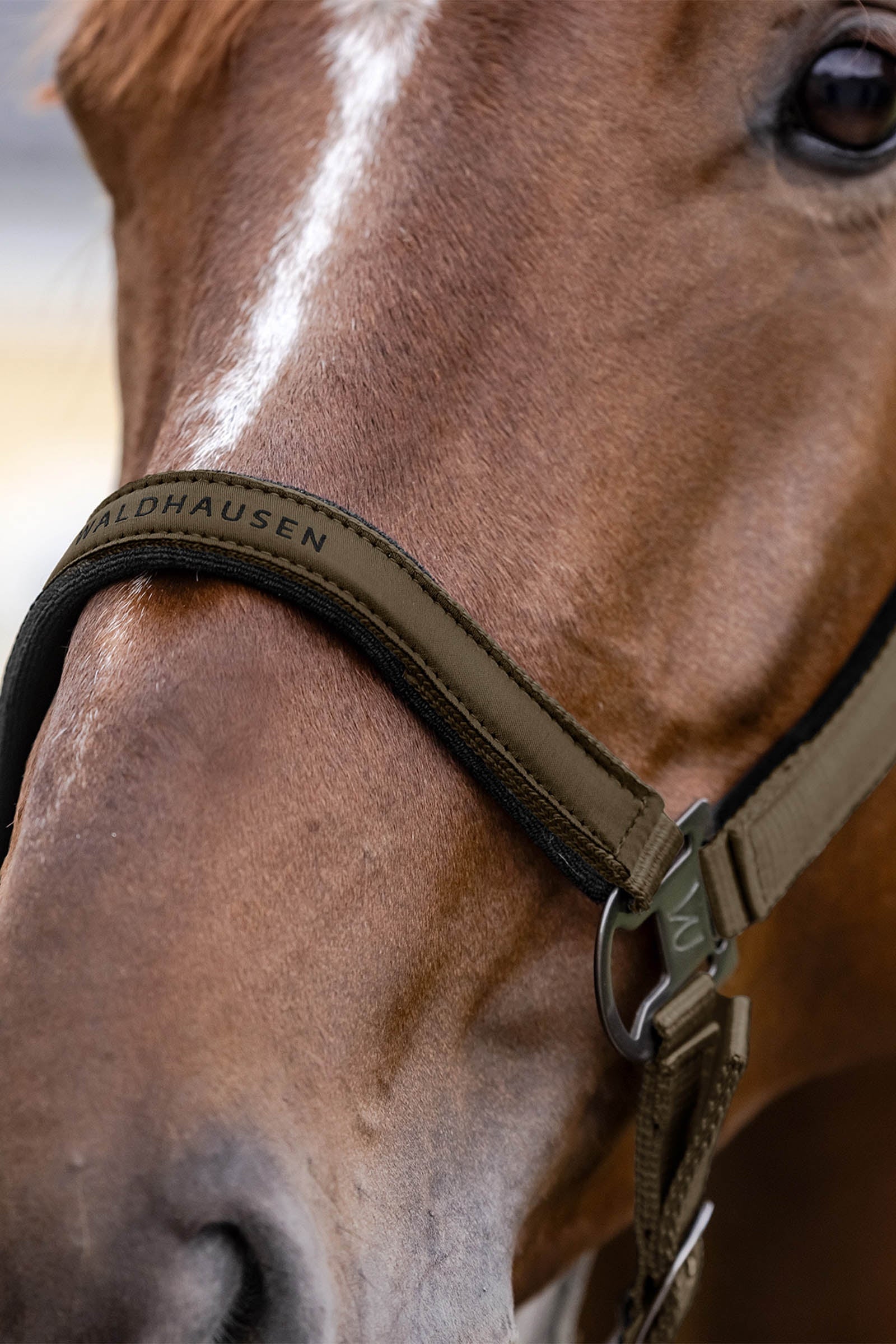 Waldhausen Athletic Halter Halters & Leads